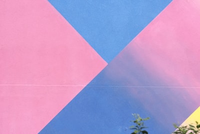 A colorful wall after a fresh coat of paint.