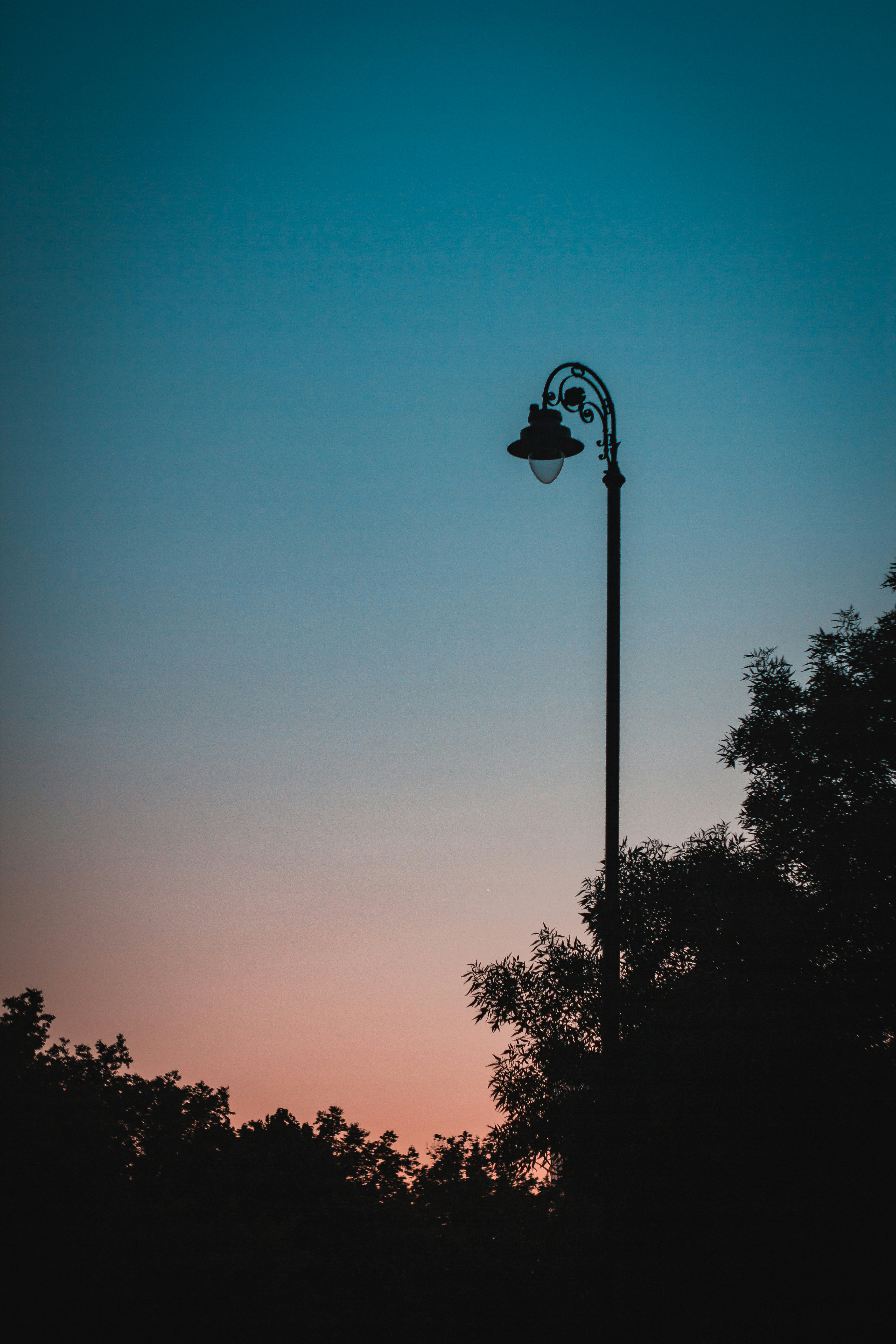 Photo by szabolcsantal