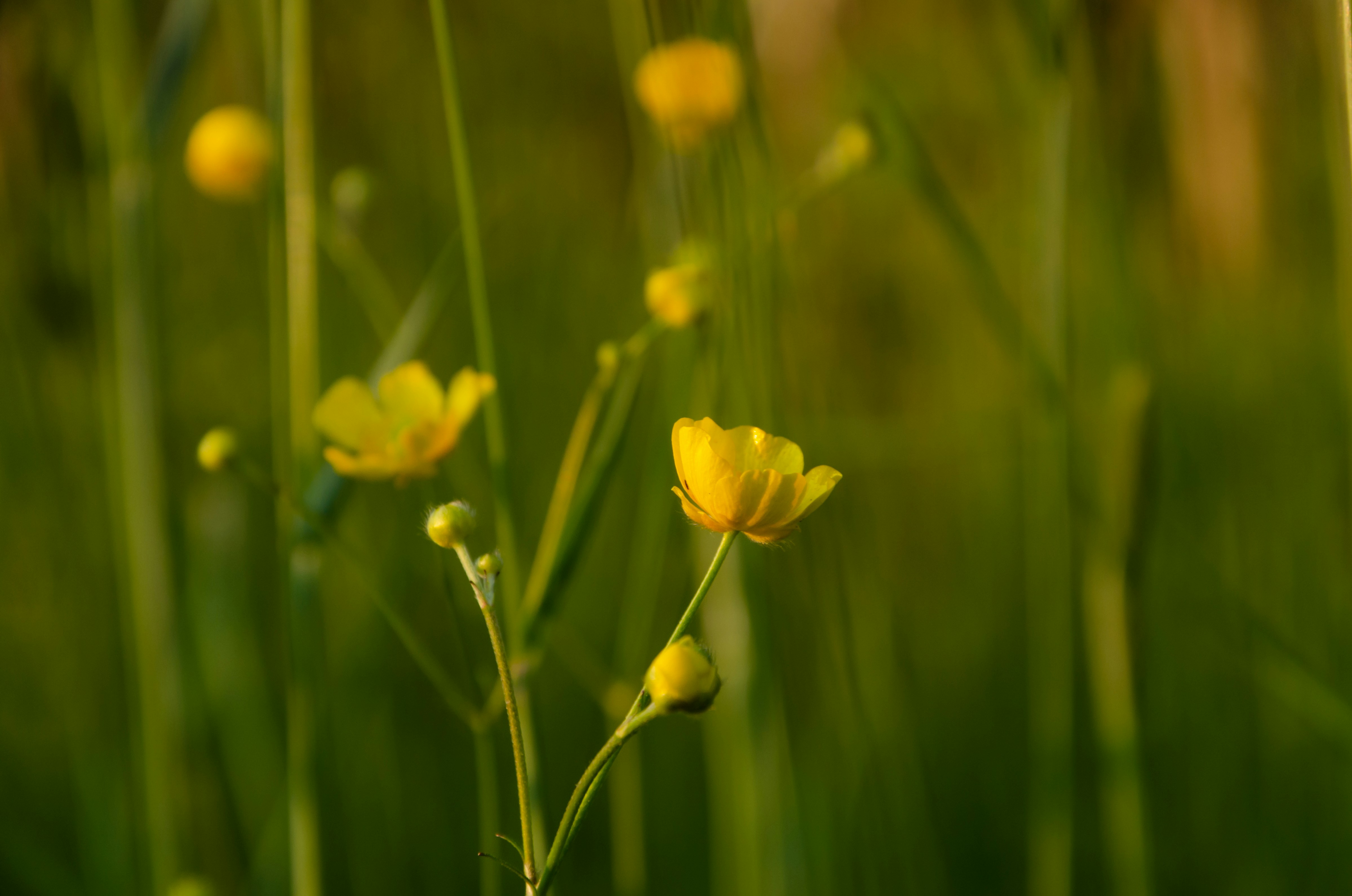 Photo by qmikola