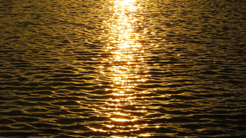 Cuerpo de agua durante la puesta de sol