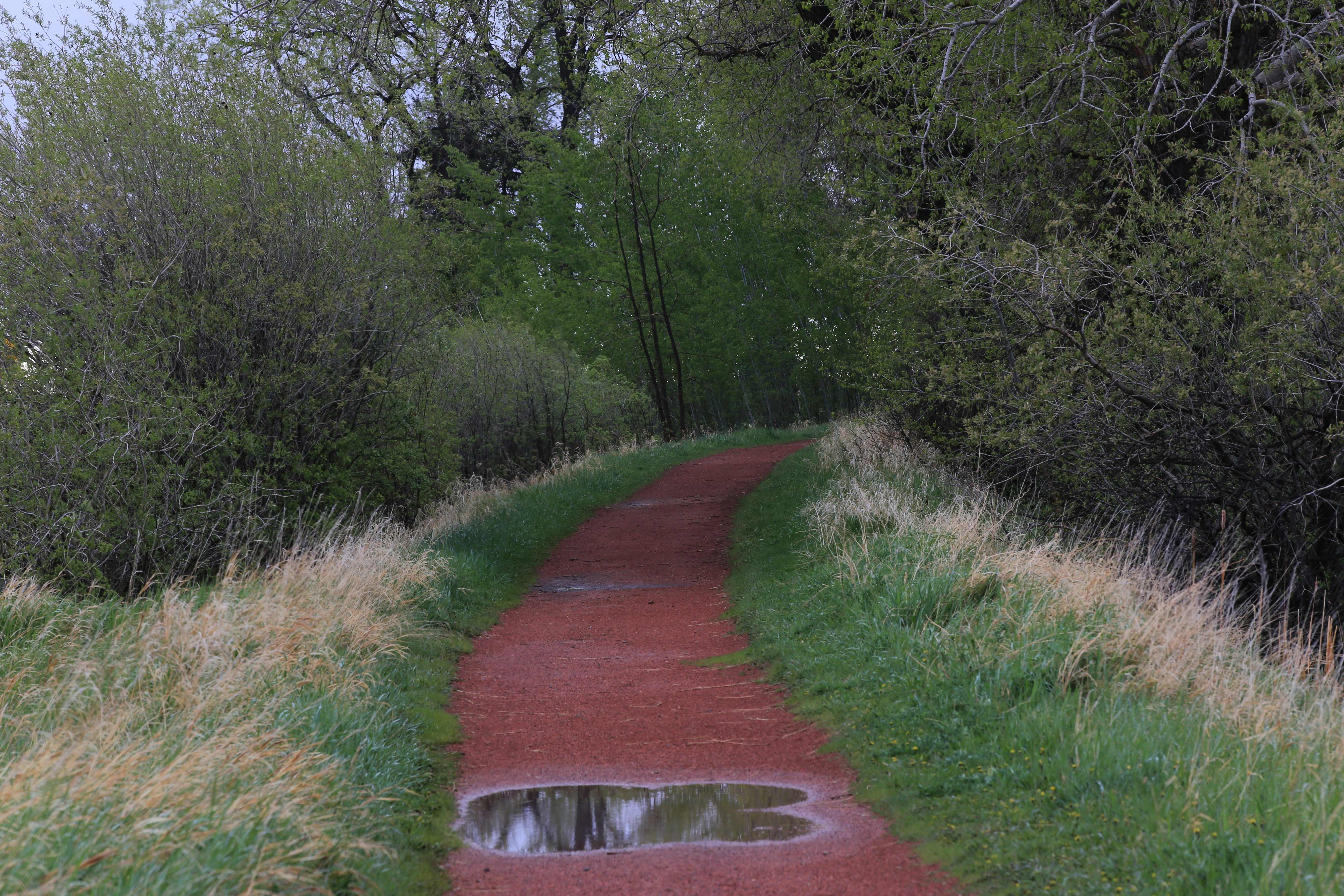 침묵 속에 도사린 악, 연쇄 살인범의 싸이코패스 심리 해부: 당신은 안전한가?
