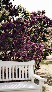 Classic Wood Bench