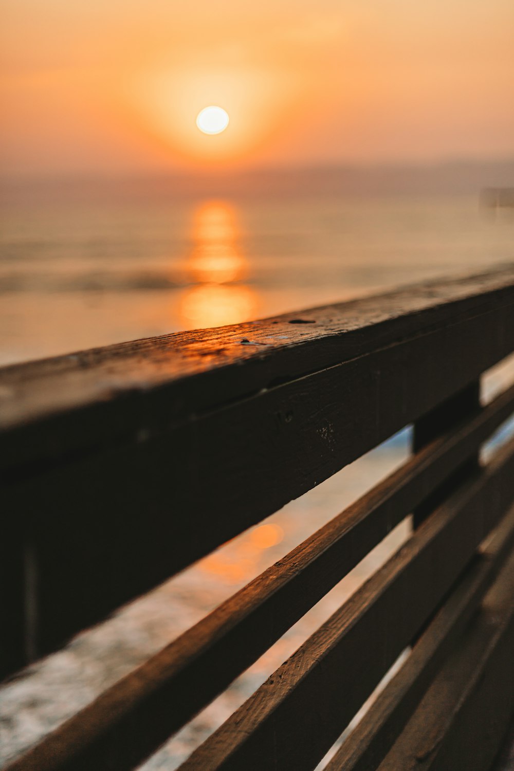 brown wooden fence near sea during sunset