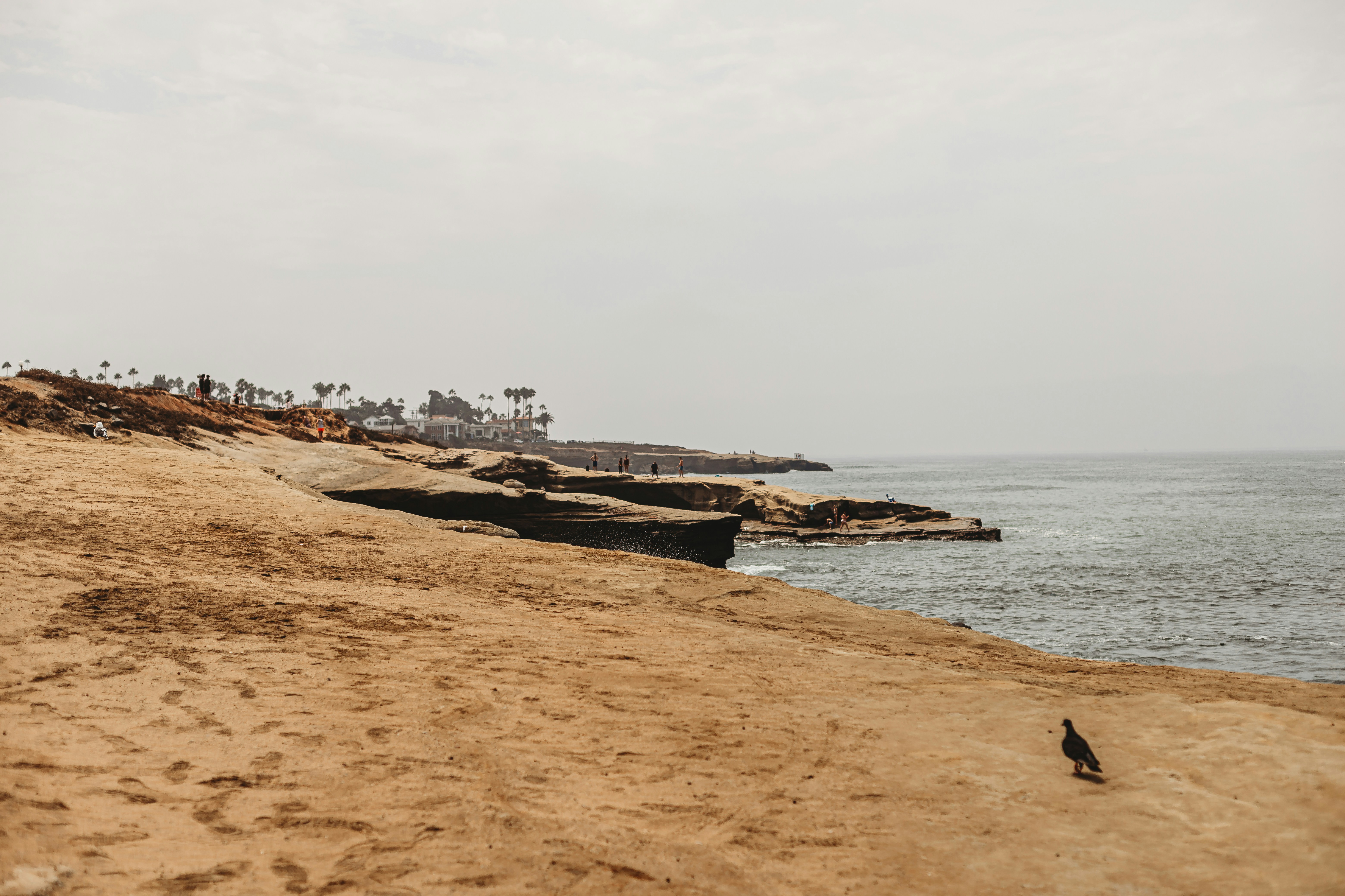 brown wooden dock on sea during daytime