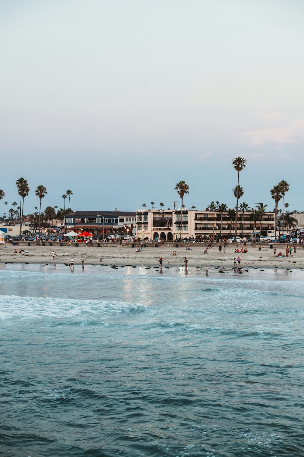 people on beach during daytime