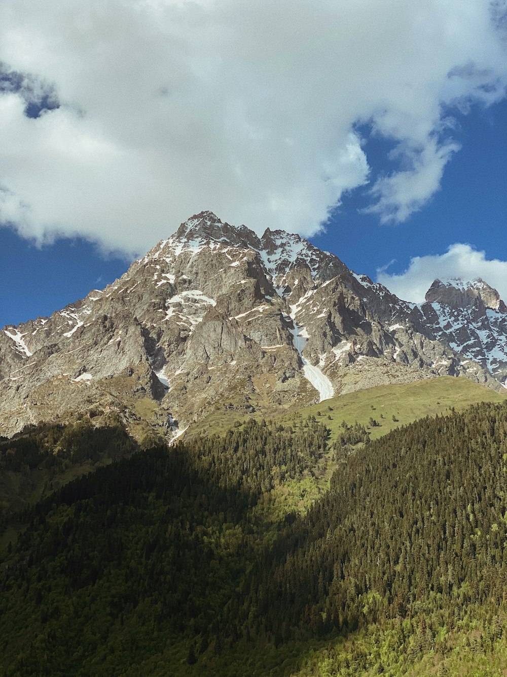 árboles verdes cerca de la montaña bajo el cielo azul durante el día