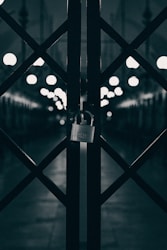 gray padlock on black metal fence