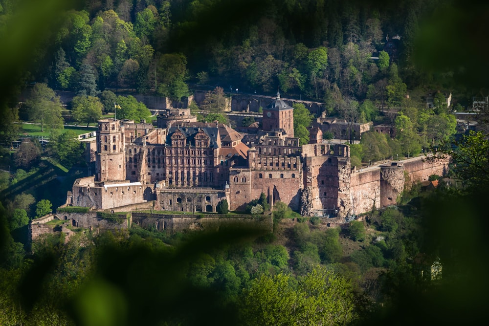 an old castle in the middle of a forest