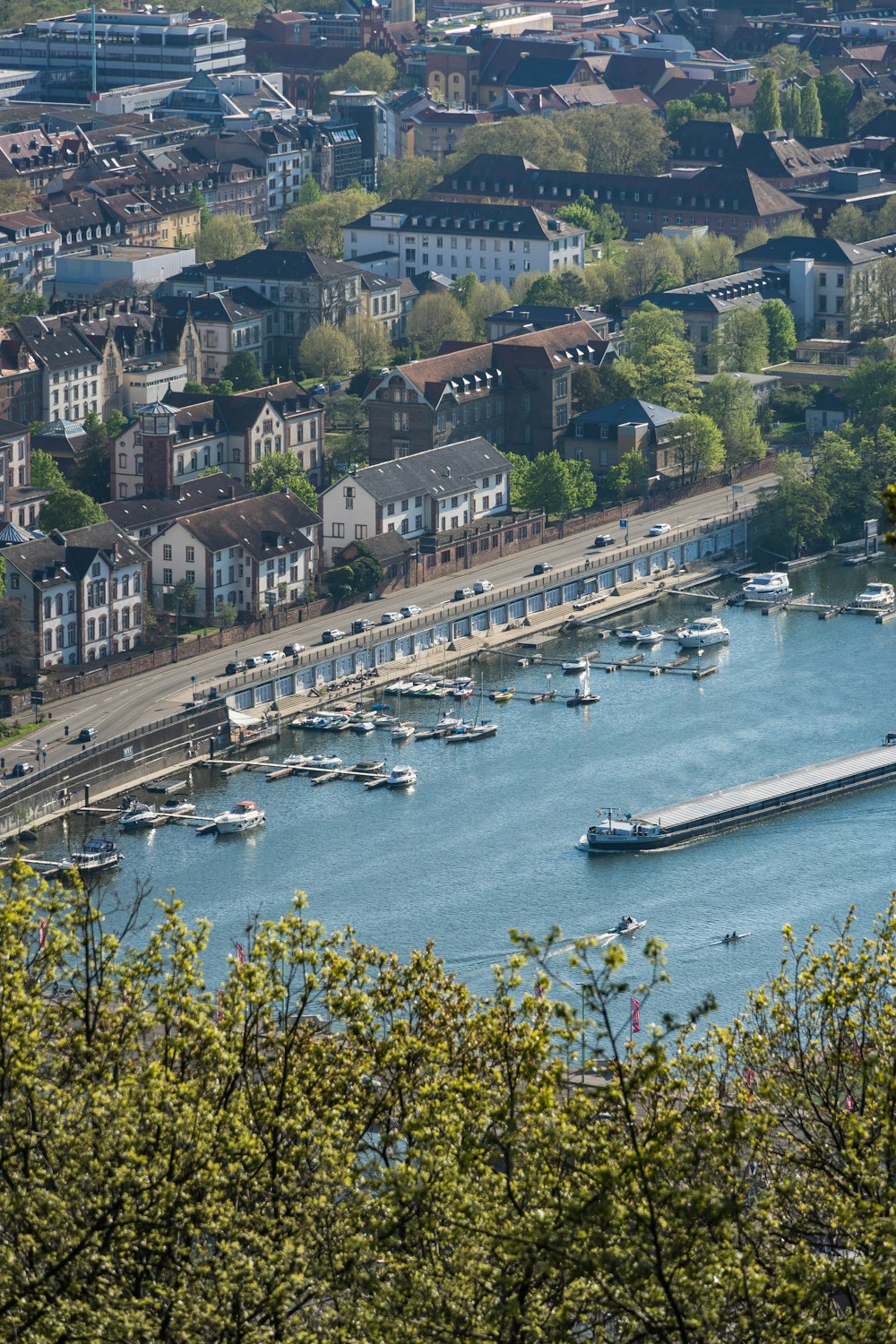 aerial view of city buildings near body of water during daytime