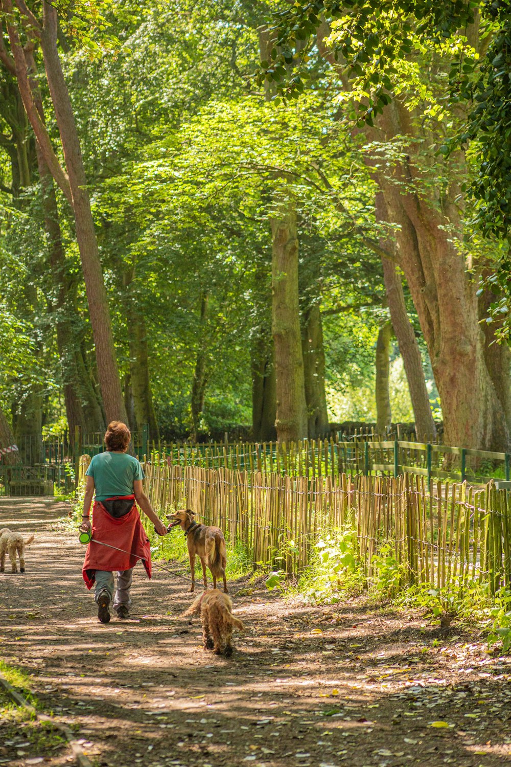 a woman walking two dogs down a dirt road