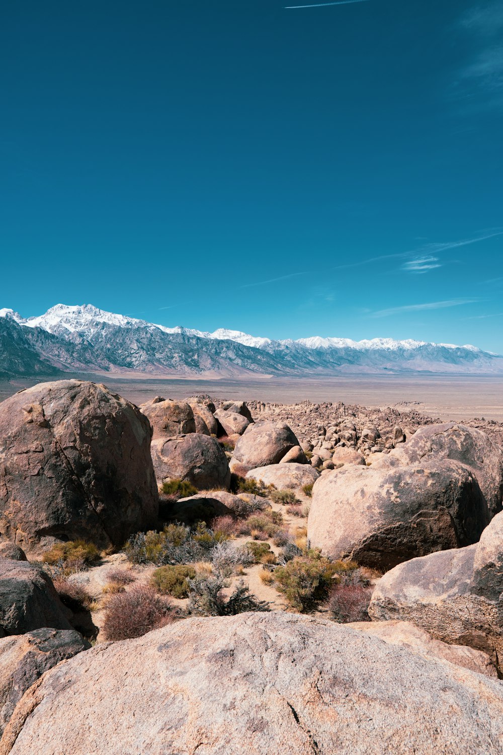 a rocky landscape with mountains in the background