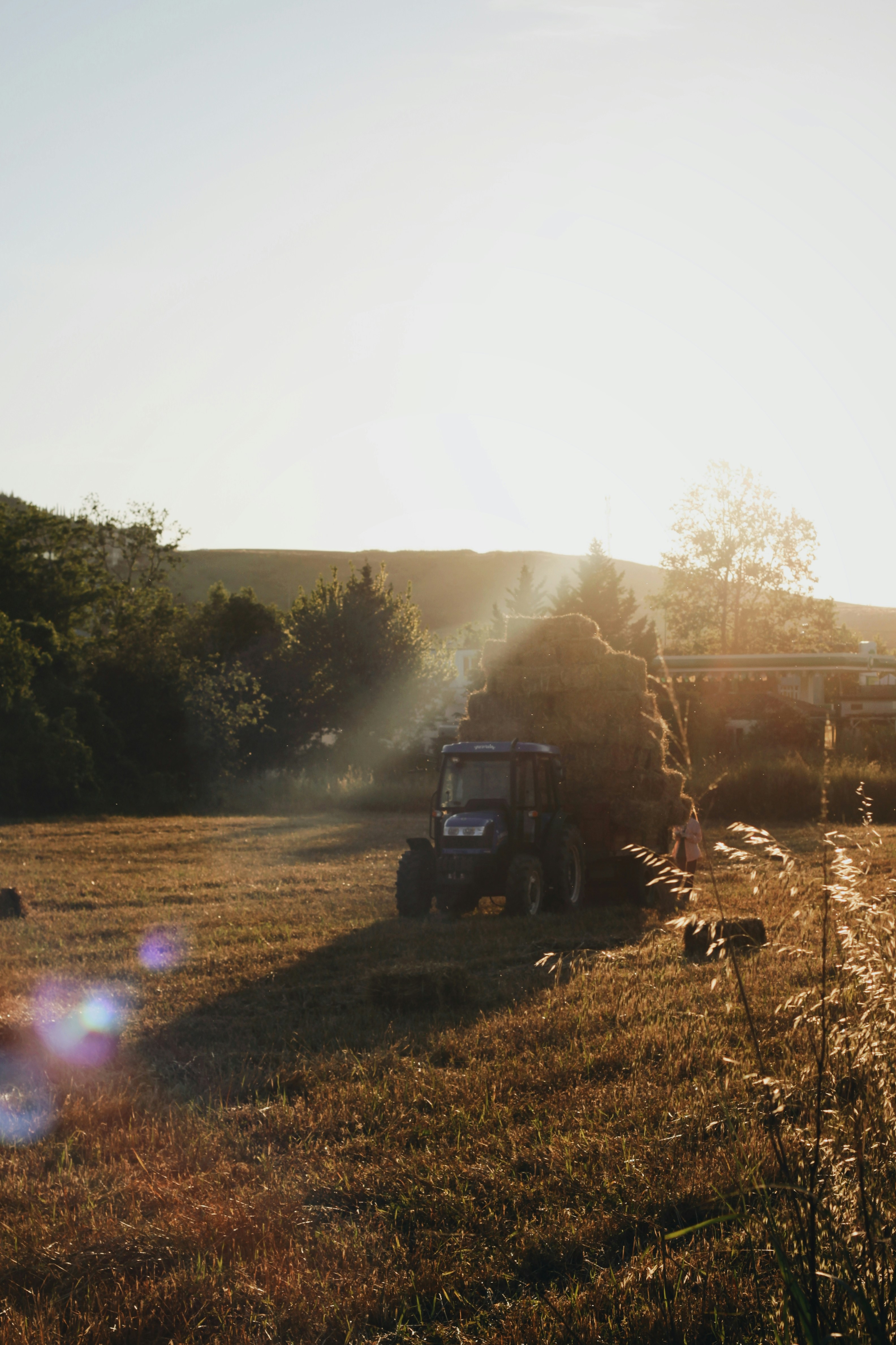 "किसानों का दर्द "