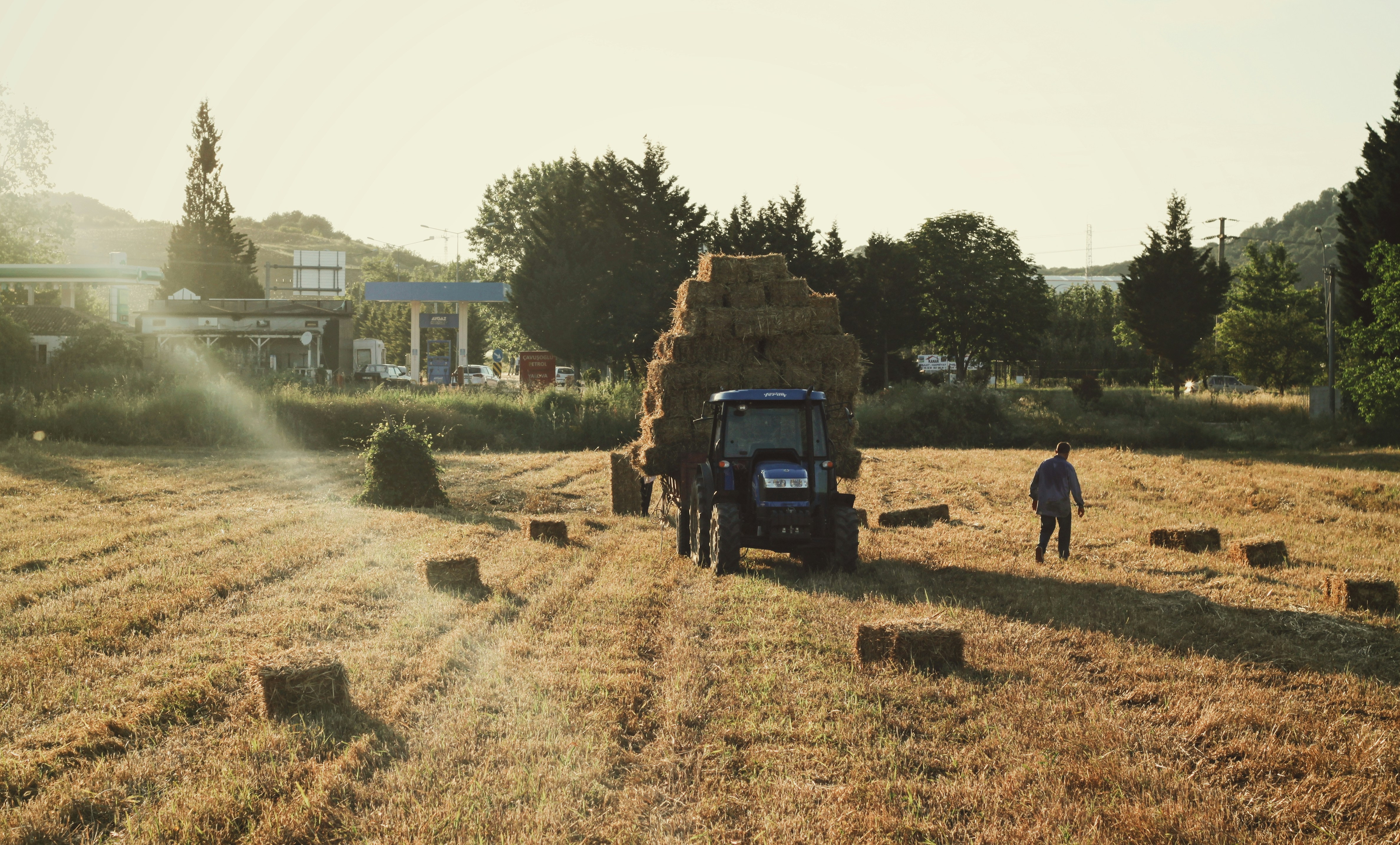 blue tractor on brown field during daytime
