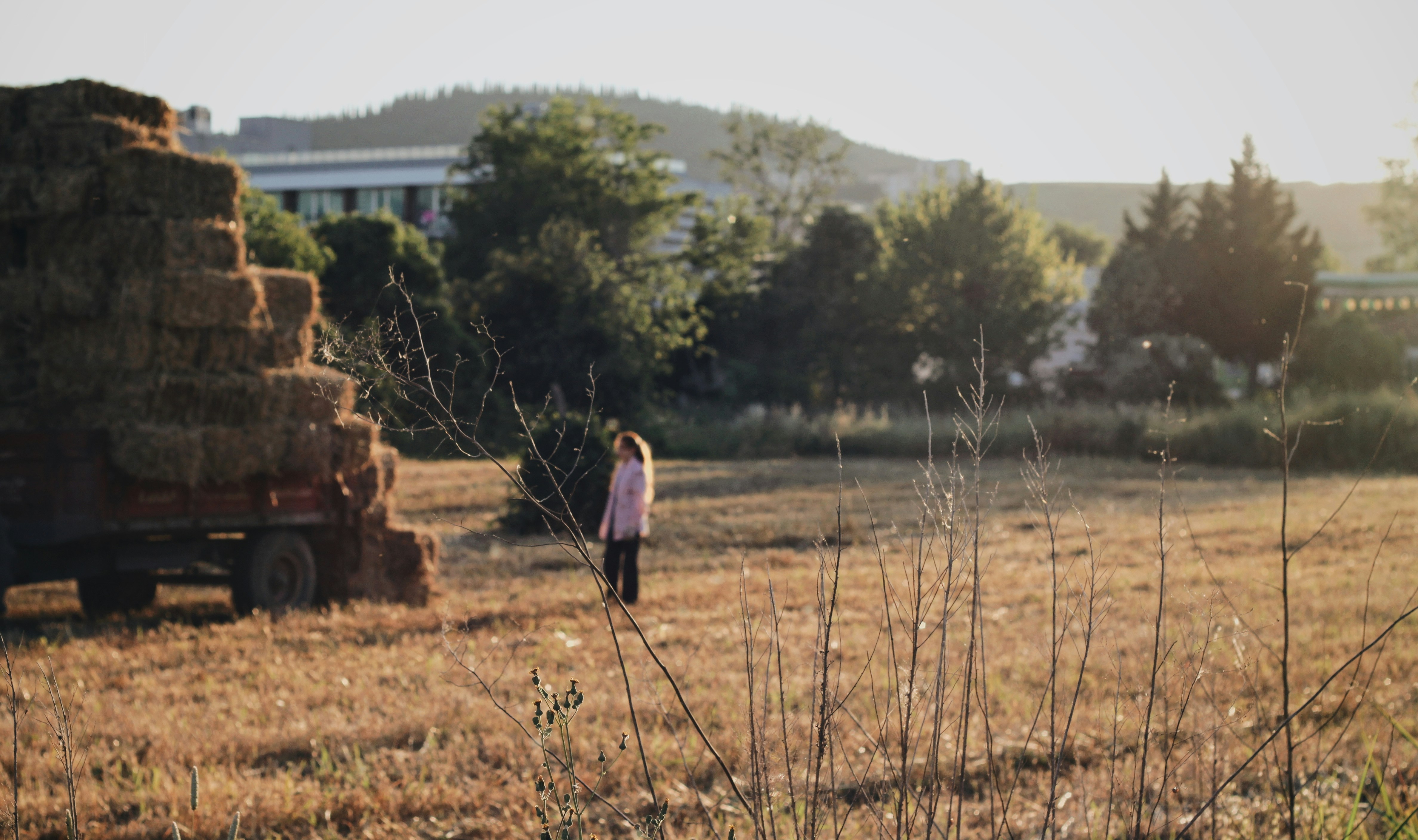field