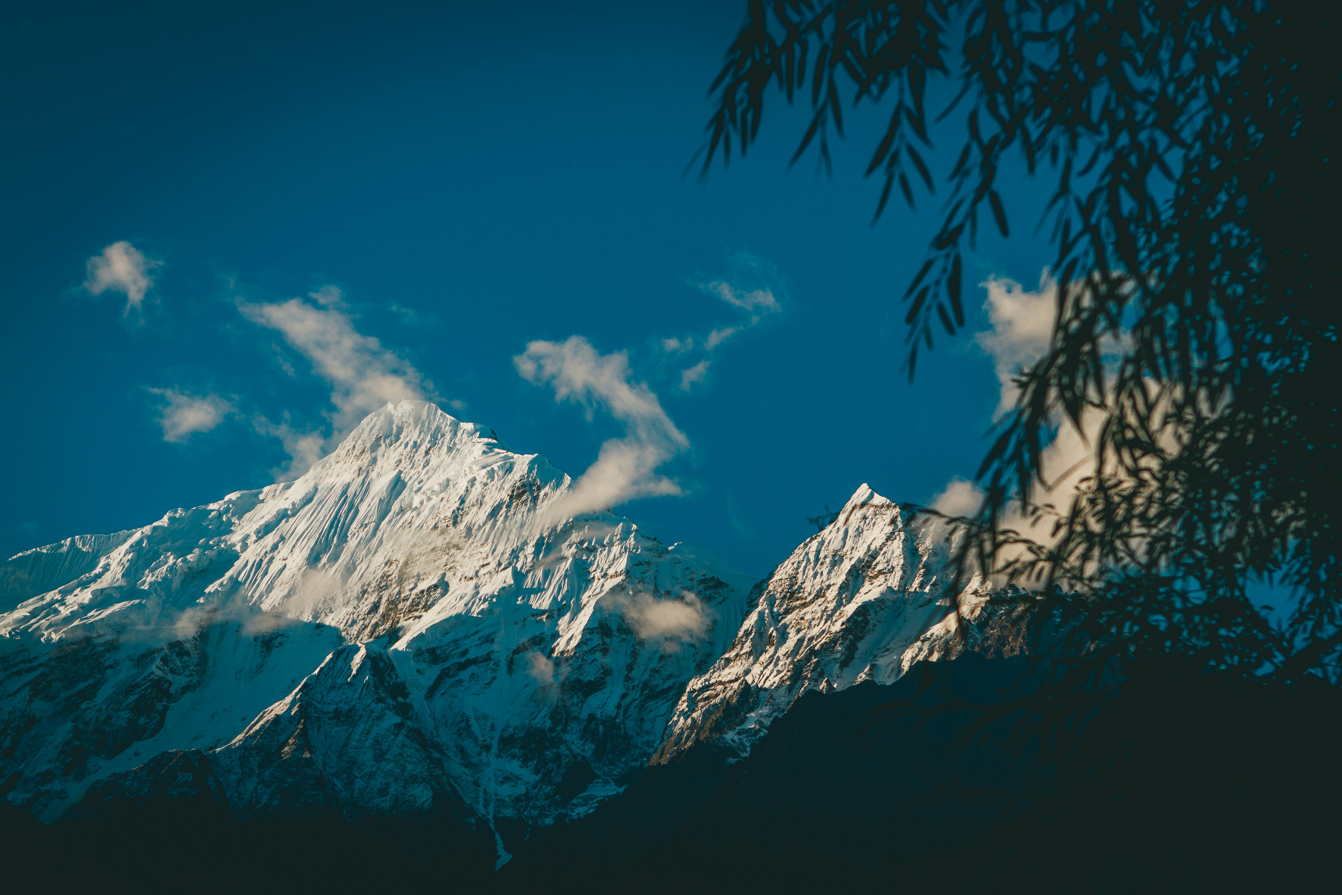 Photo by raimondklavins