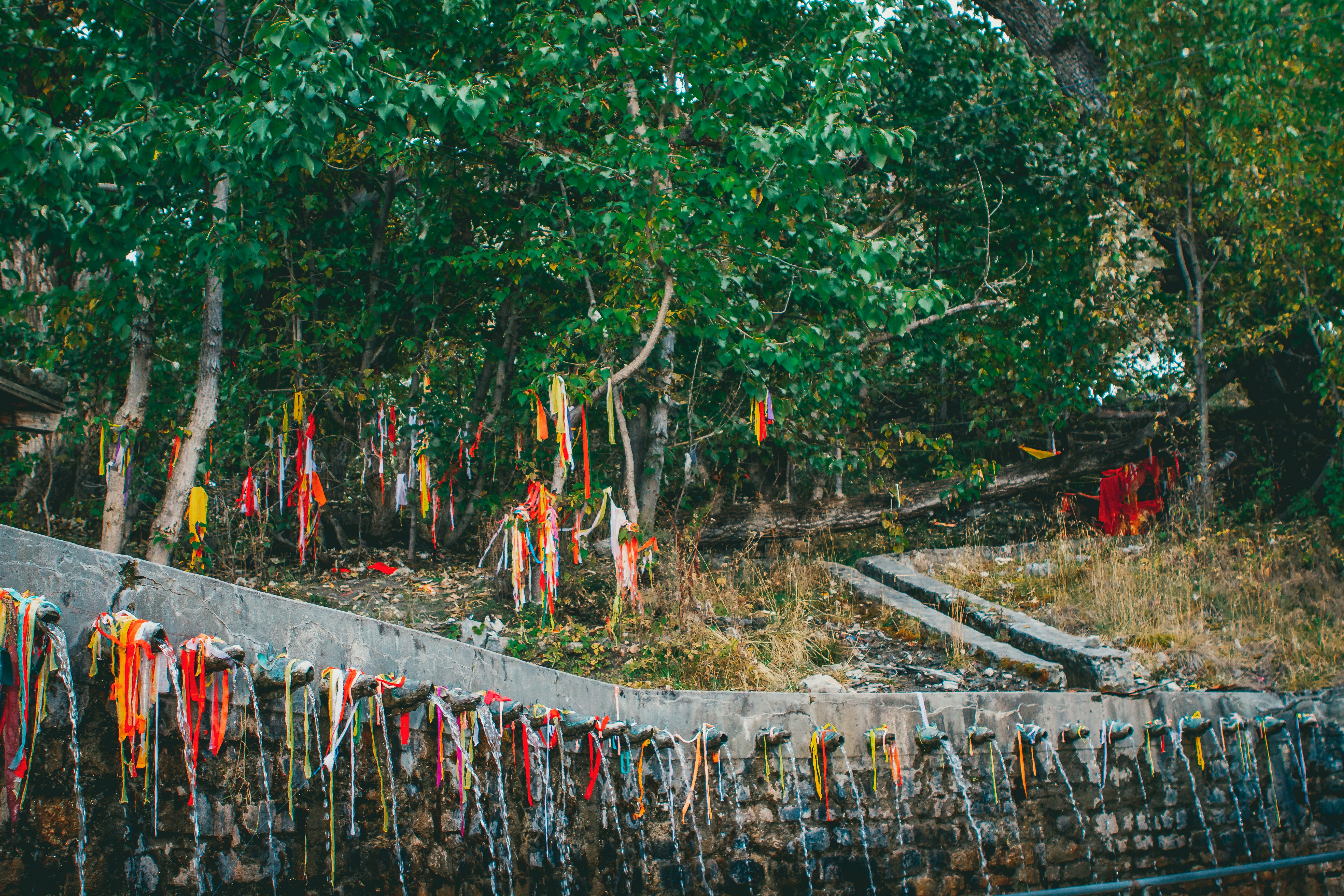 Photo by raimondklavins