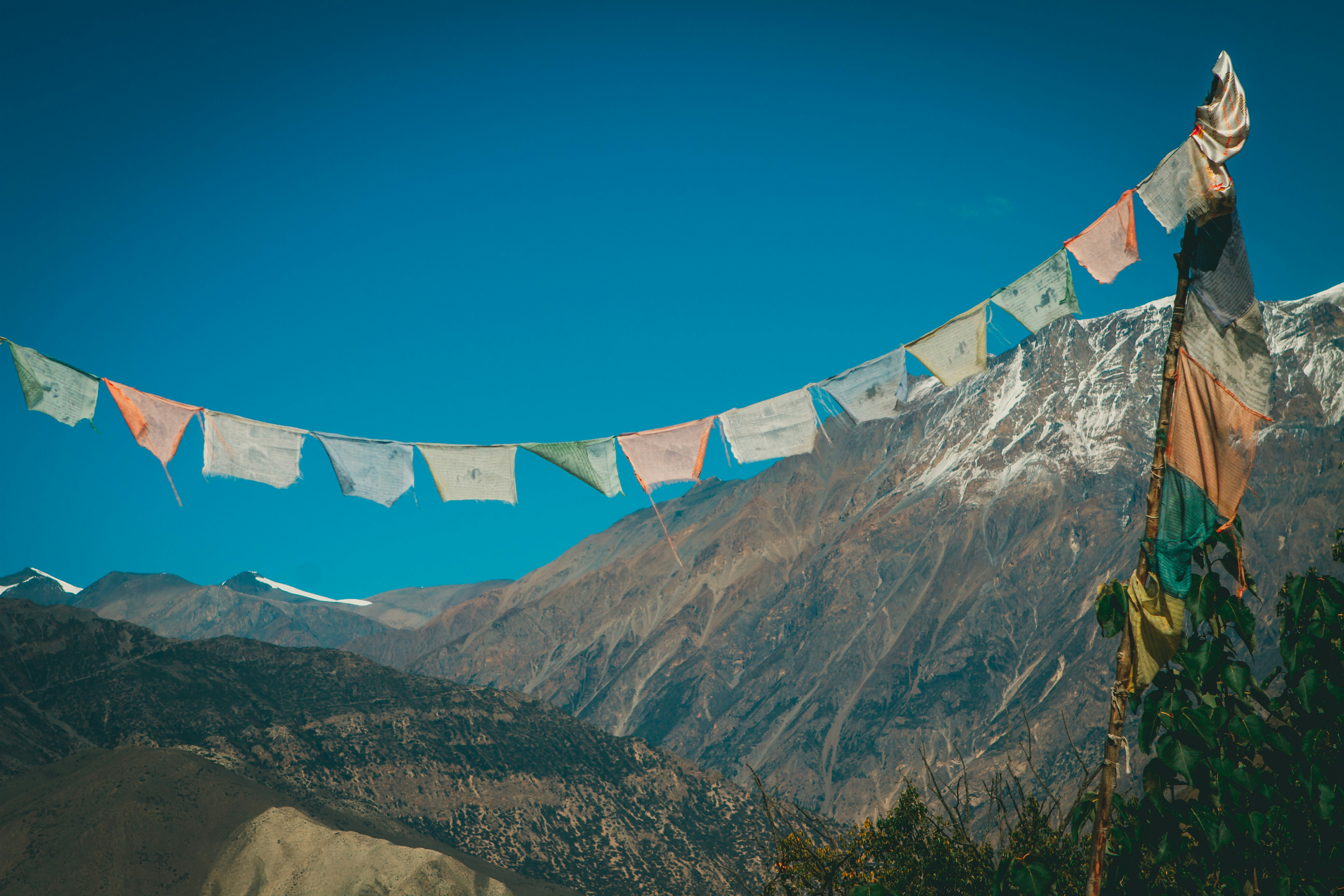 Photo by raimondklavins