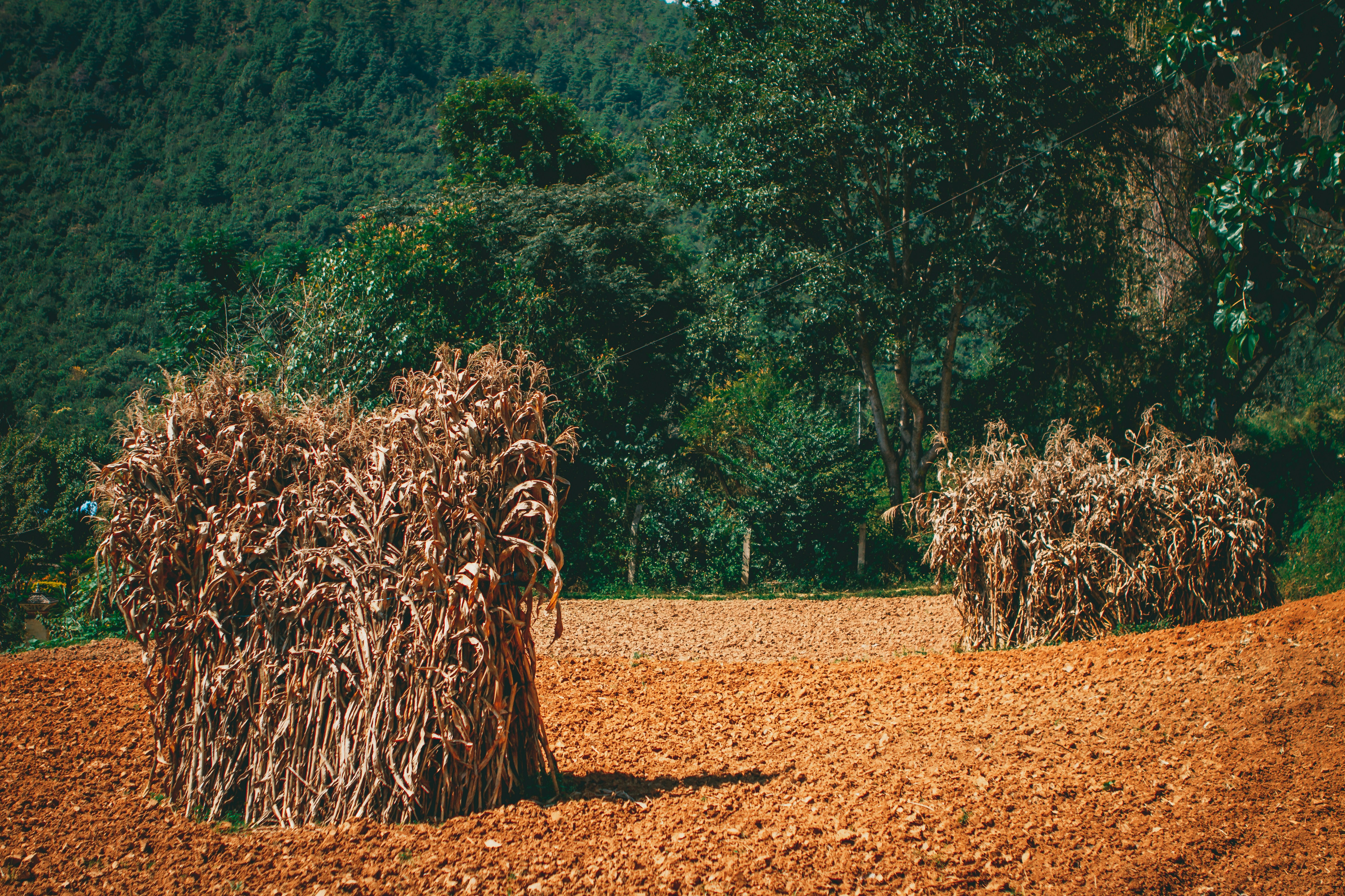 Photo by raimondklavins