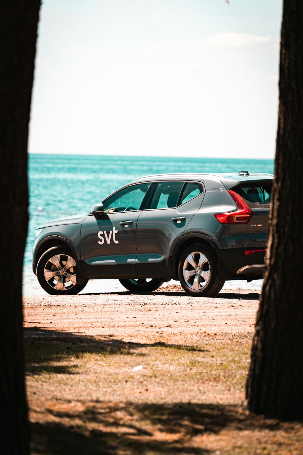 a car parked next to a tree near the ocean