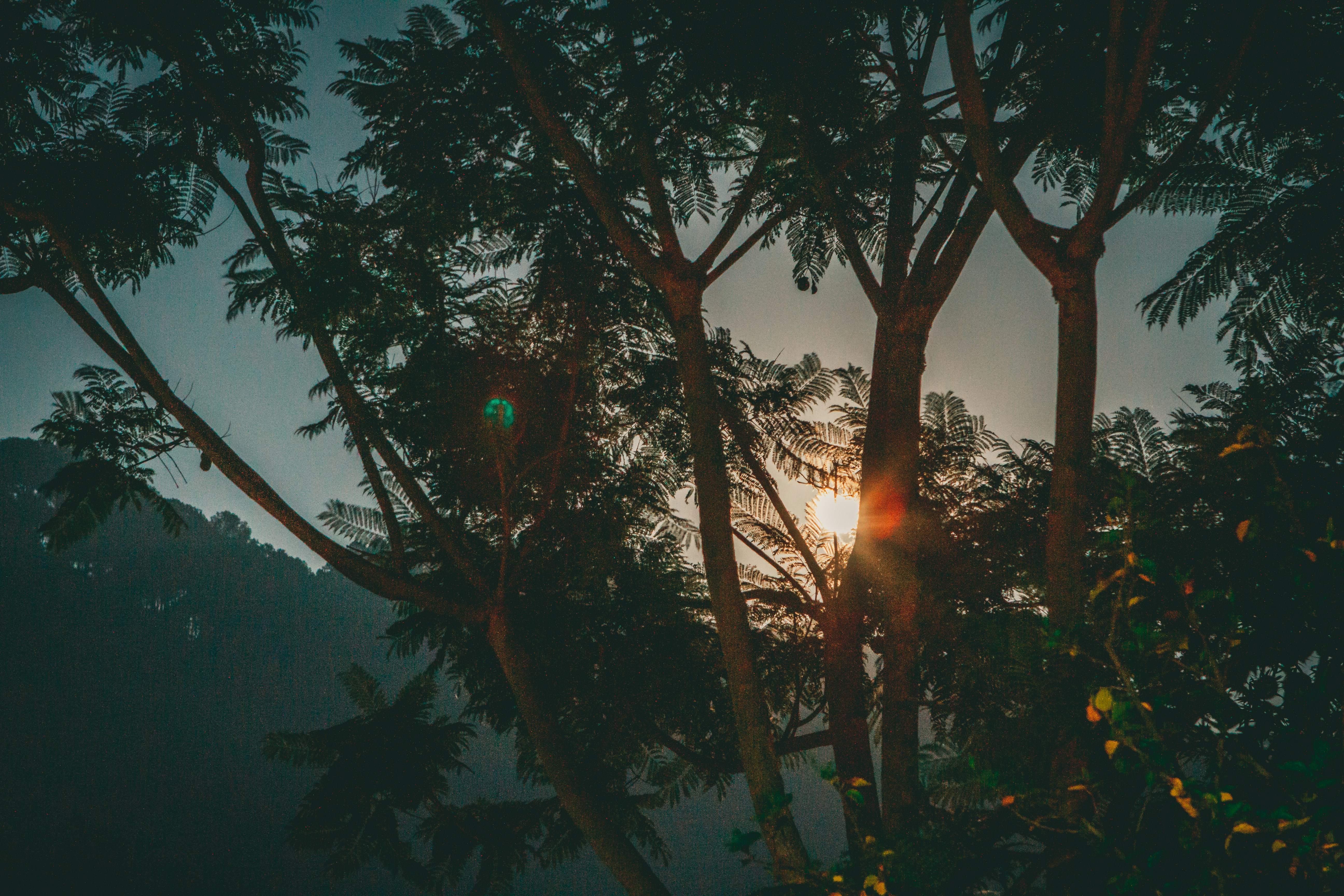 Photo by raimondklavins