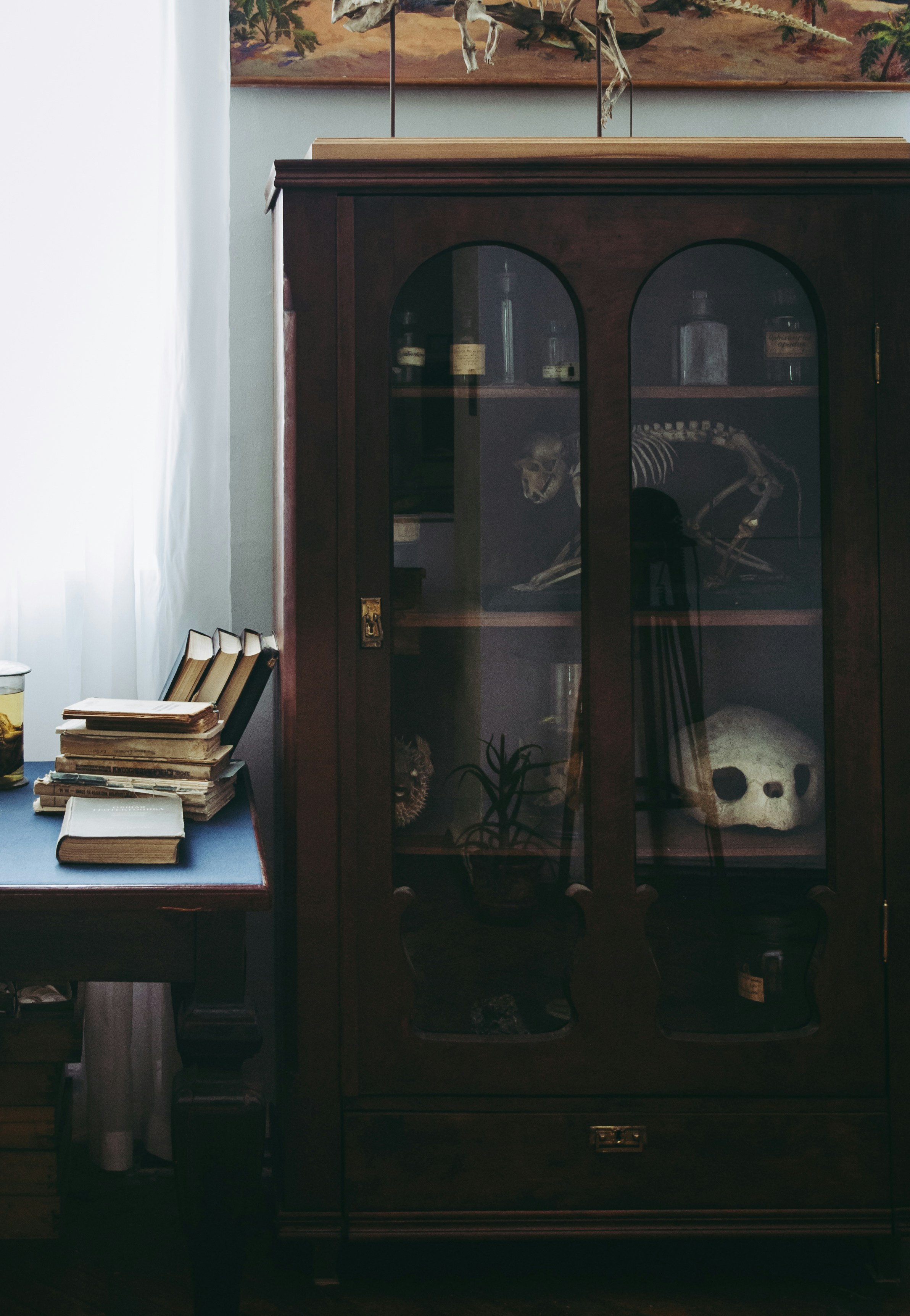 Showcase Your Book Here