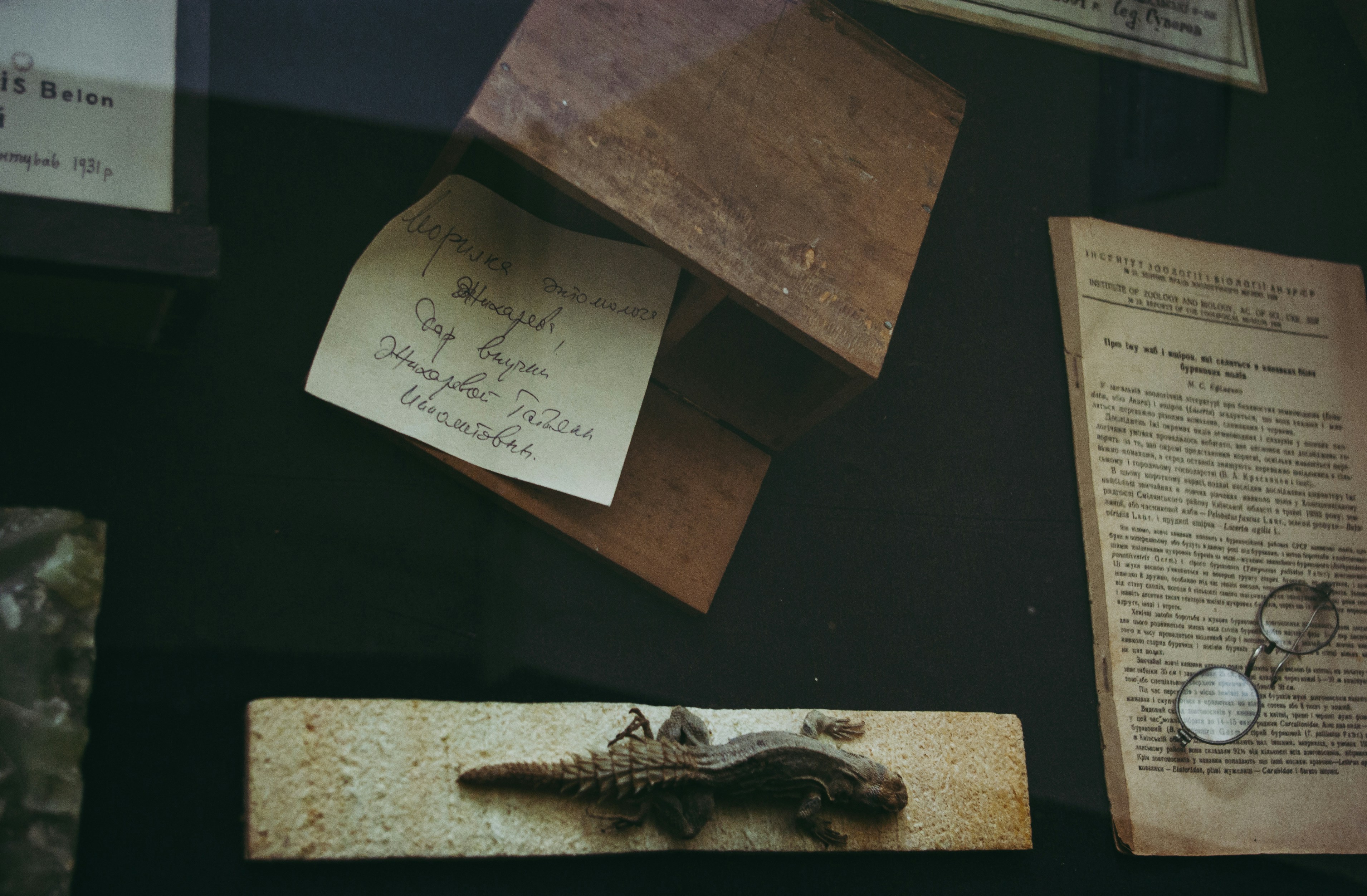 Implementasi Pendekatan Saintifik dan Karakter dalam Pembelajaran Sains Menyongsong Generasi Emas Indonesia Image