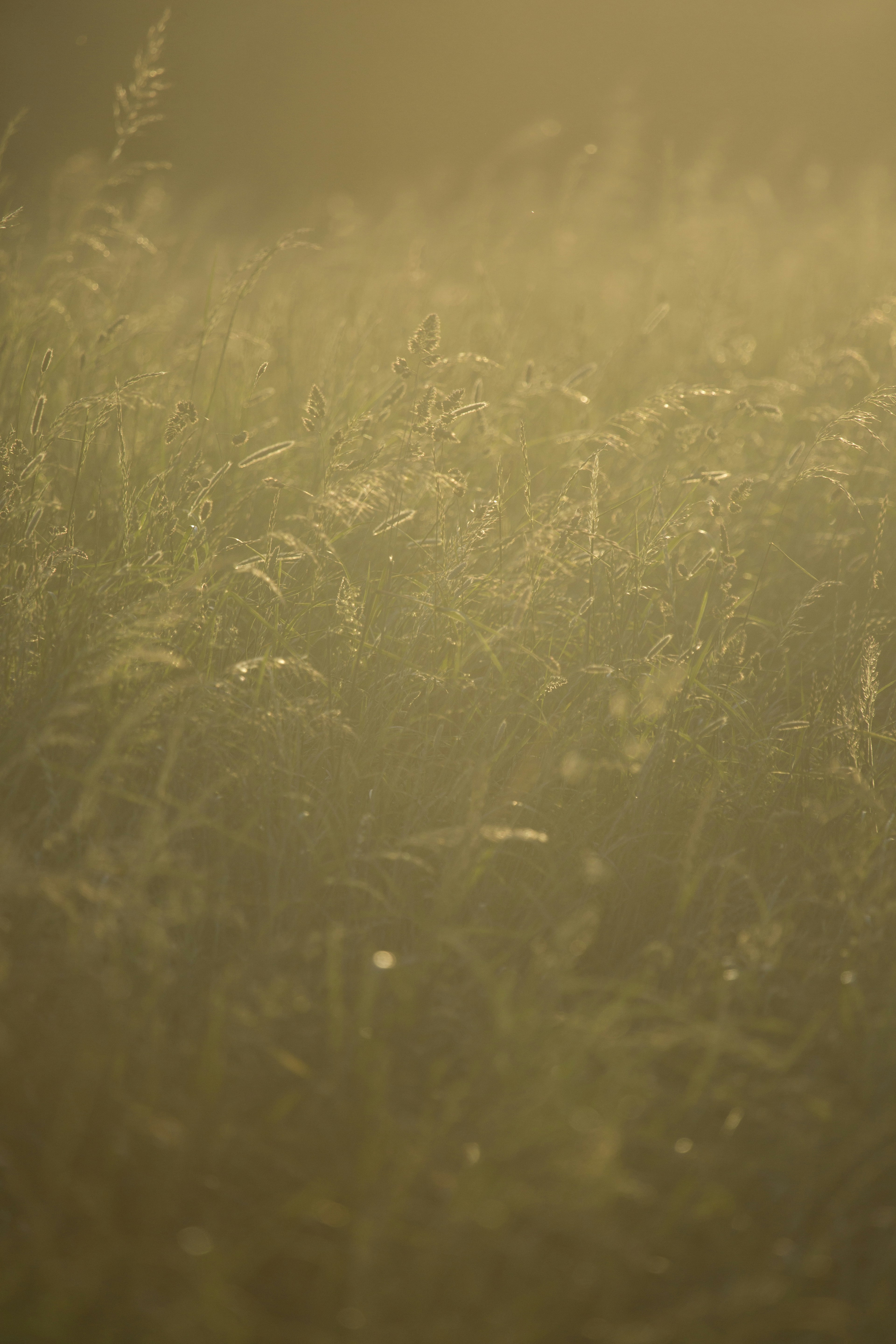 Photo by ditakesphotos