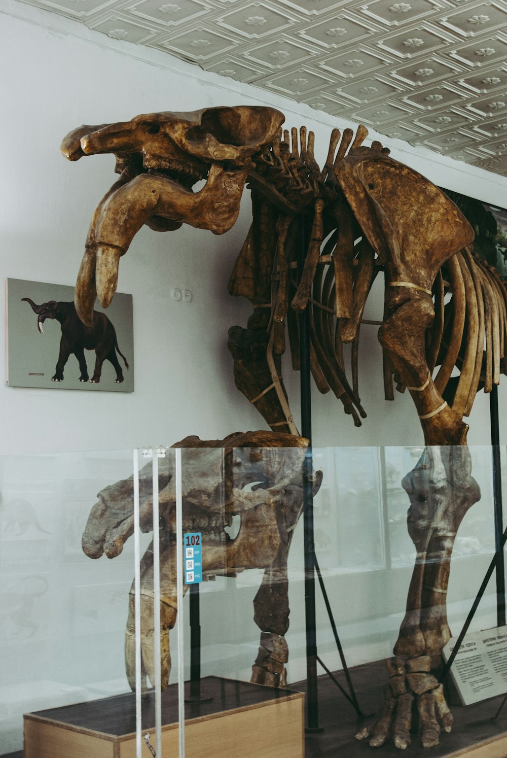 brown wooden animal figurine on glass shelf