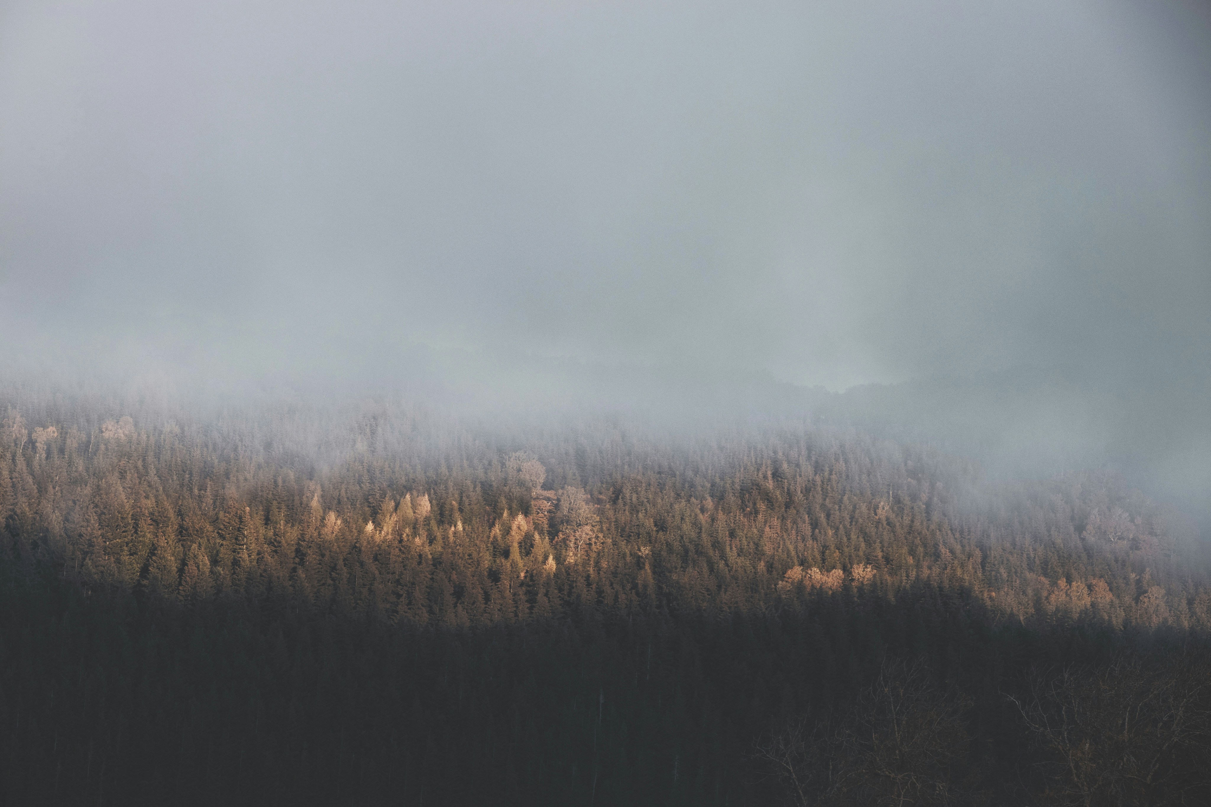 Photo by archie_reed