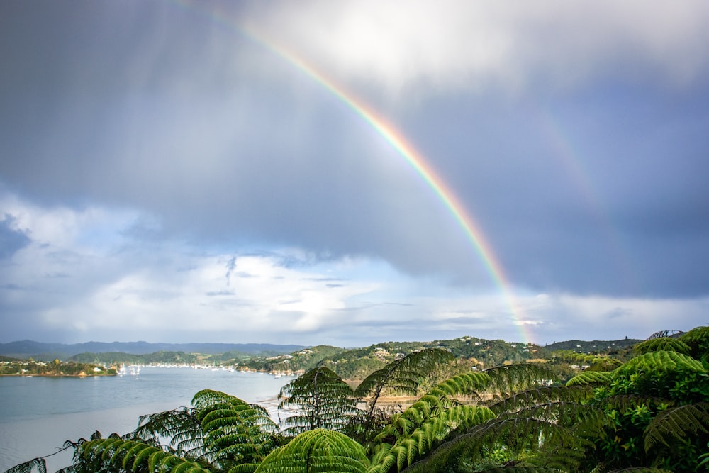 Un arco iris se ve sobre un lago y árboles
