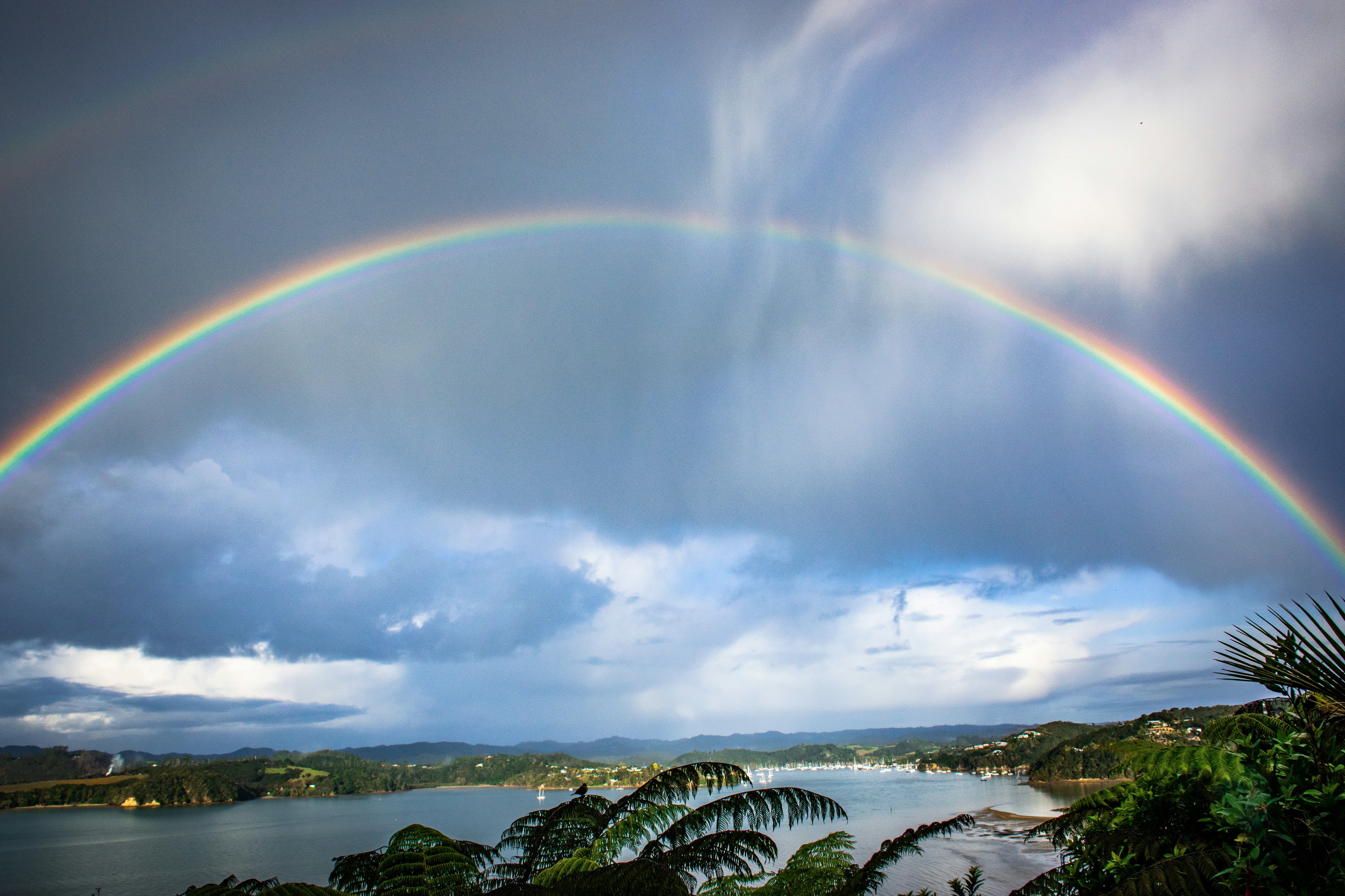 Image credit: 
Look Up Look Down Photography via unsplash