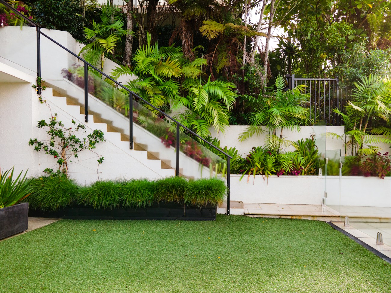 Modern garden with white rendered steps, lawn and tropical planting