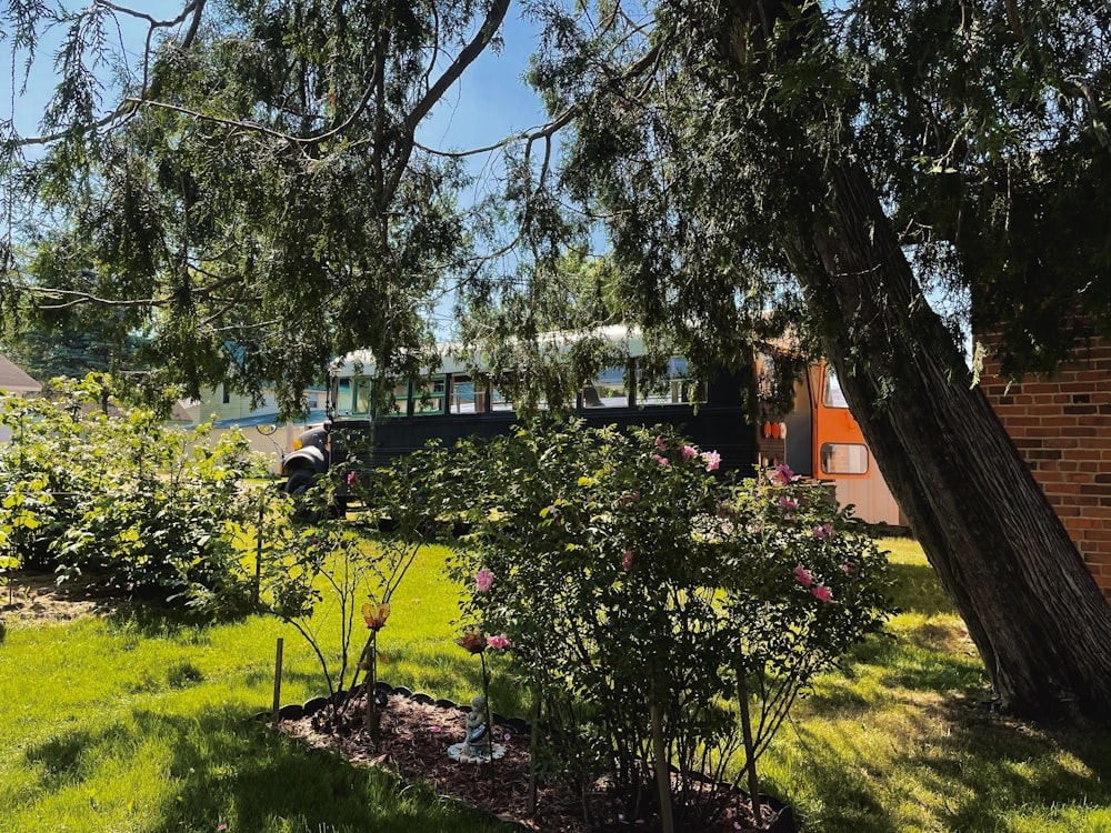 a train traveling through a lush green forest