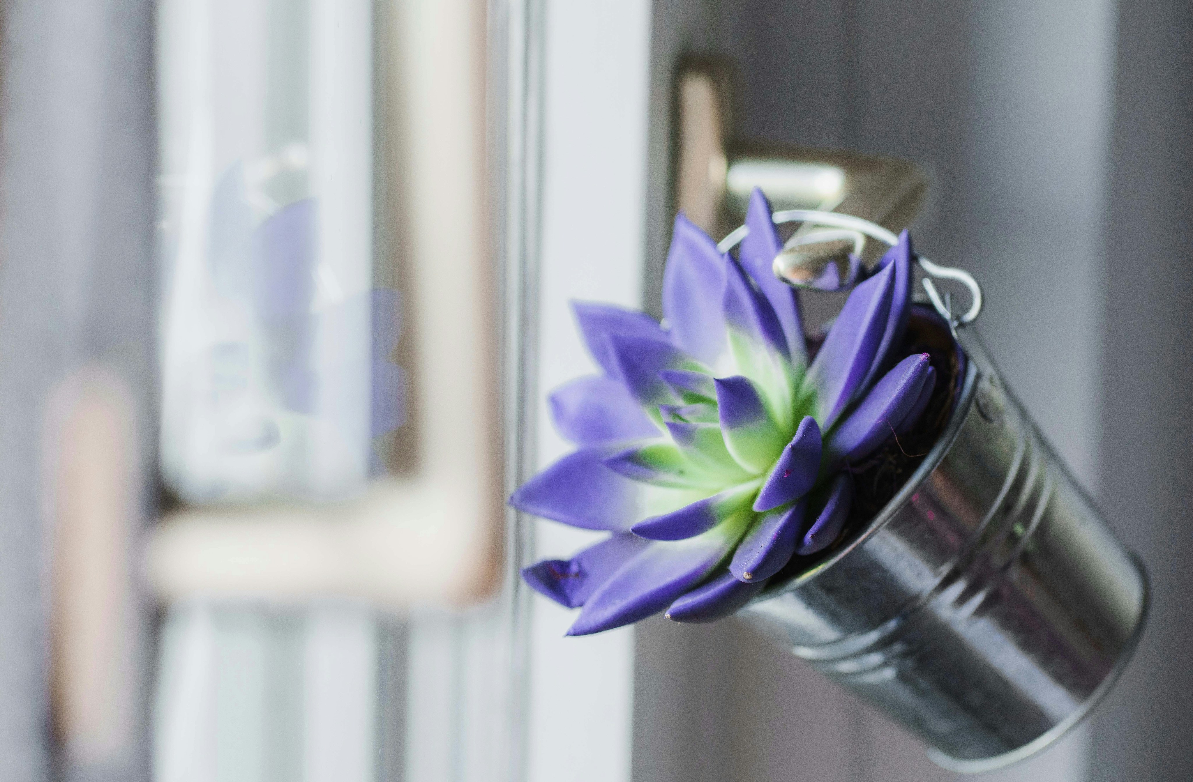 7 Energy-Saving Tips for Eco-Friendly Home Fragrance DIY
