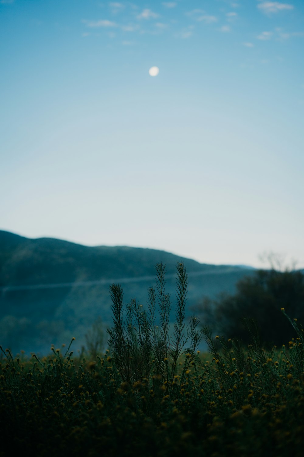 a view of a hill with a full moon in the sky