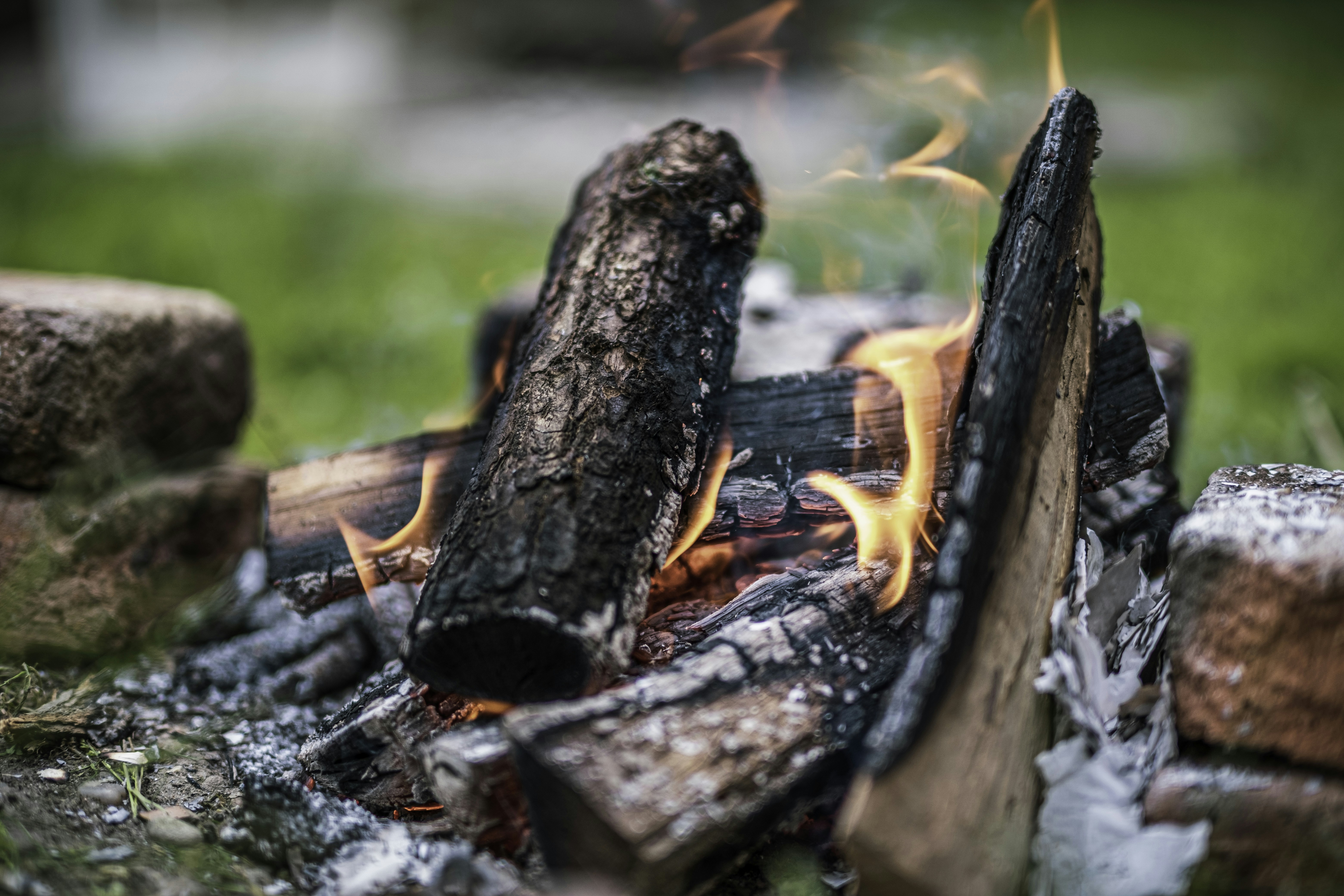 Photo by victorserban