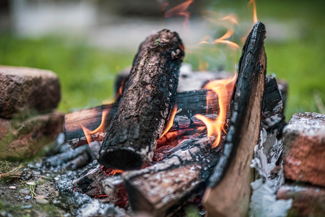 black and brown wood log