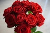 red roses on white surface