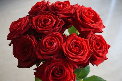 red roses on white surface