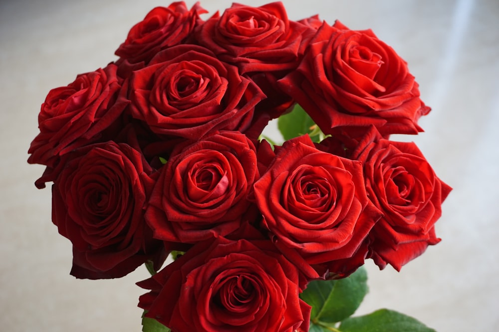 red roses on white surface