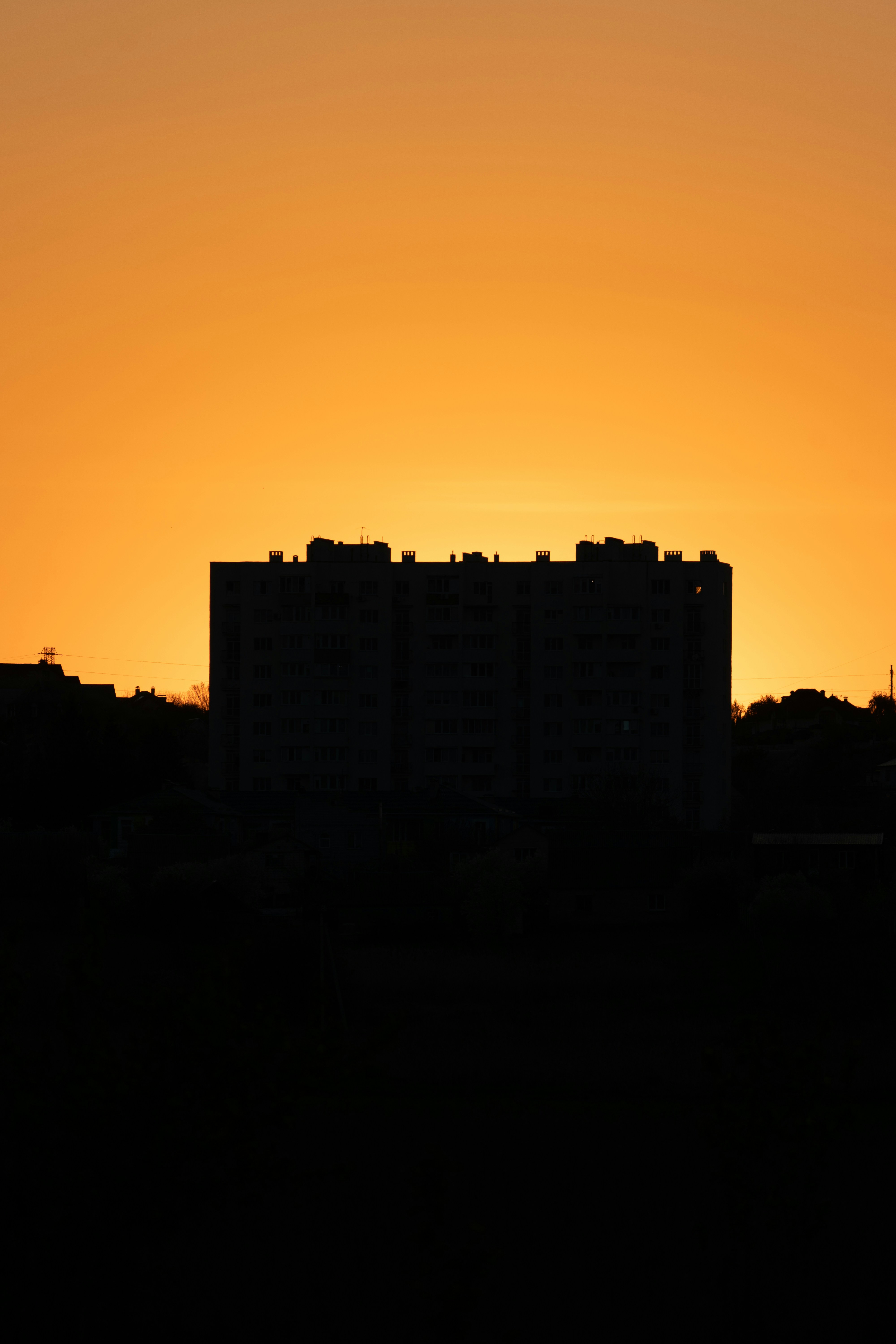 Photo by vmelnyk