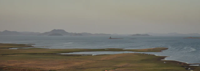 Tapi, Gujarat – local businesses and services