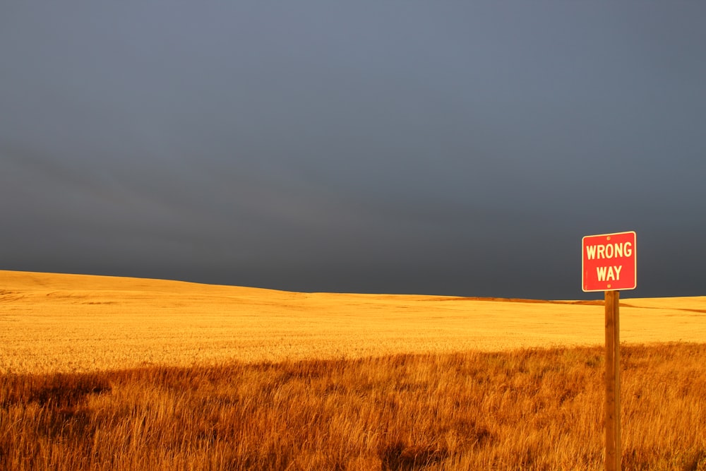 Una señal roja y blanca de no estacionar sentada en la parte superior de un campo de hierba seca
