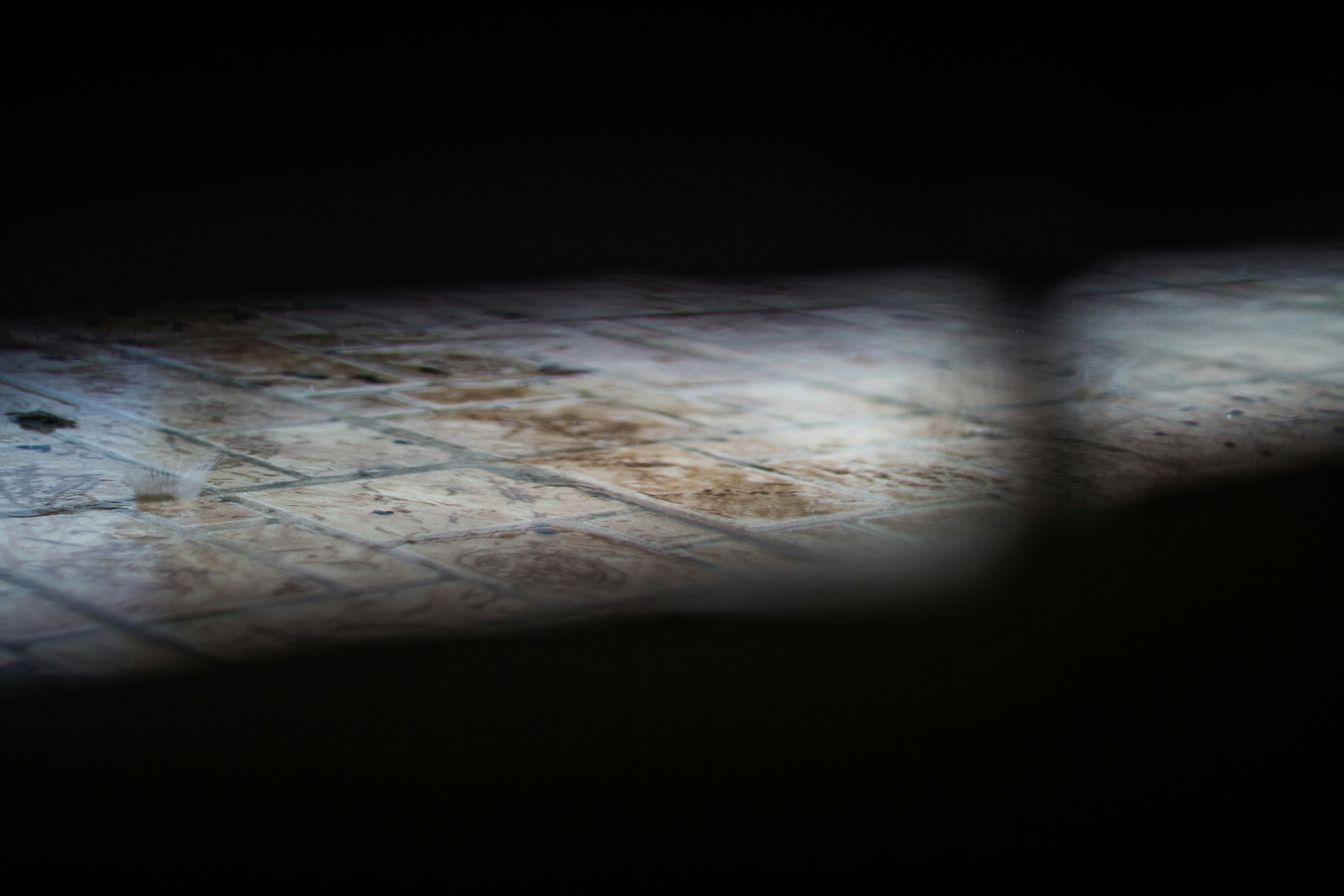 Photo by sihang_chen