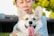 A Corgi dog with large ears and a pink tongue sticking out is lovingly held by a person in a gray shirt. They are outdoors, with blurred green foliage and a building in the background.