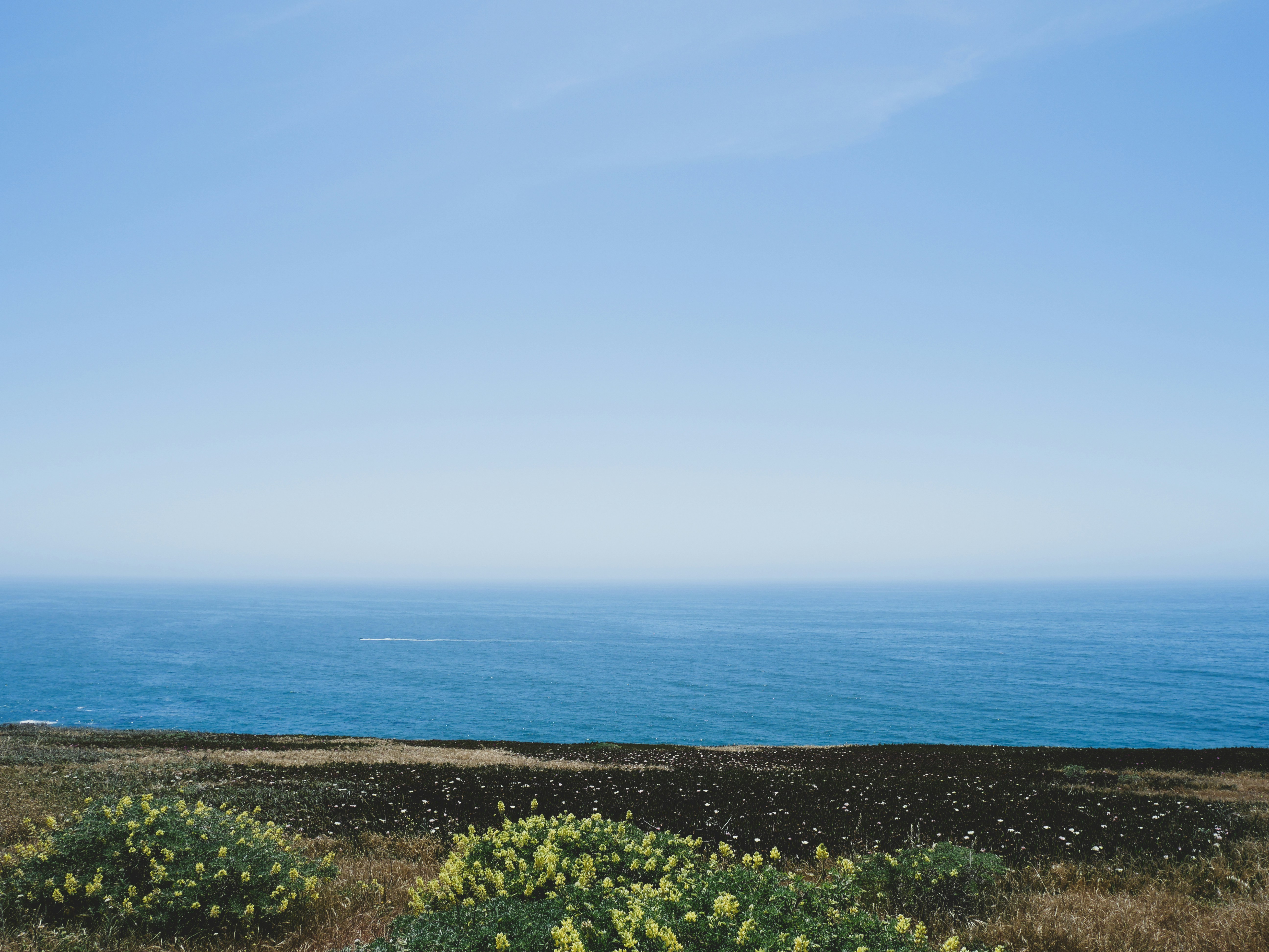 a view of the ocean from a hill top, 