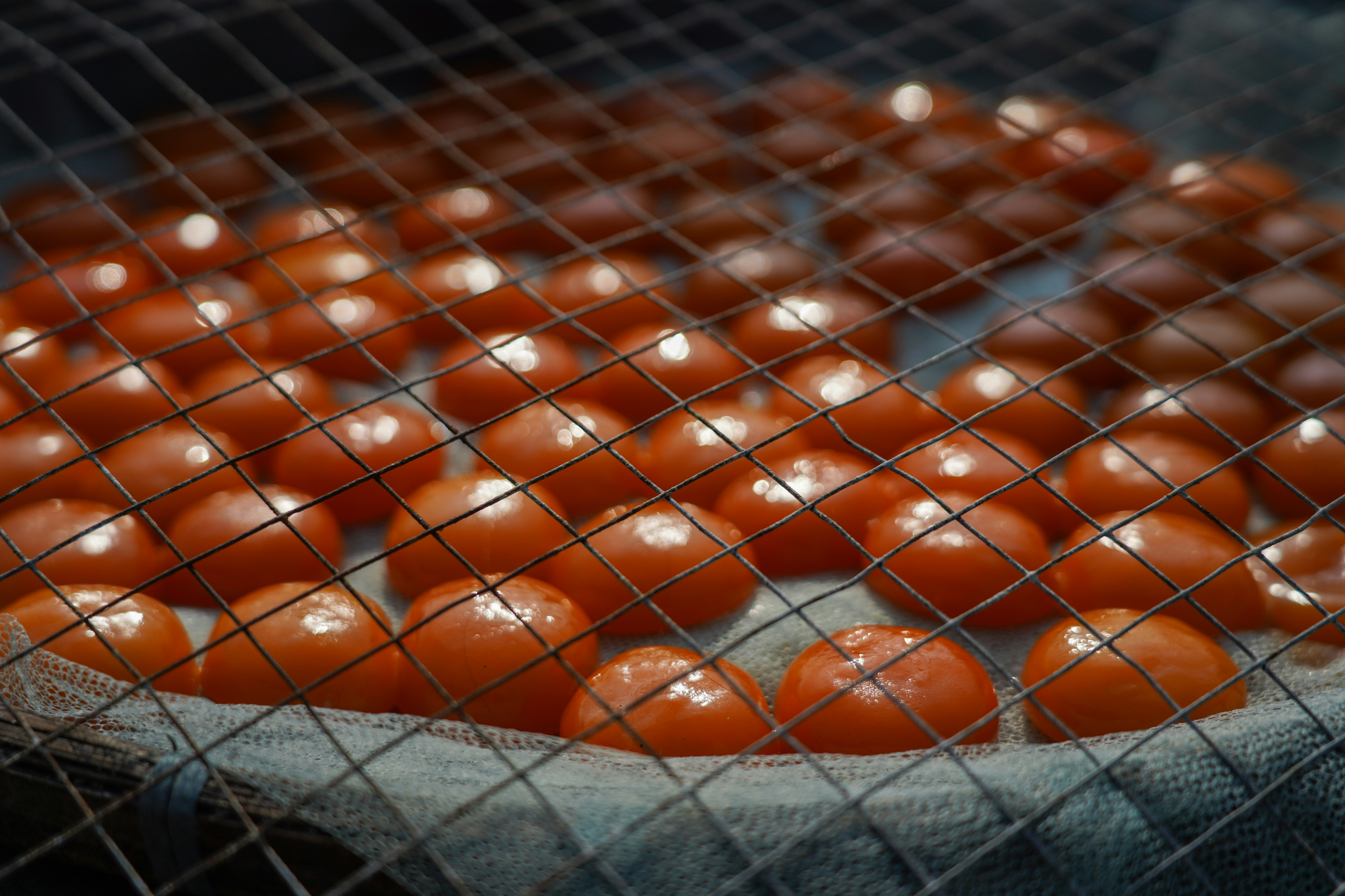 Salied egg yolk