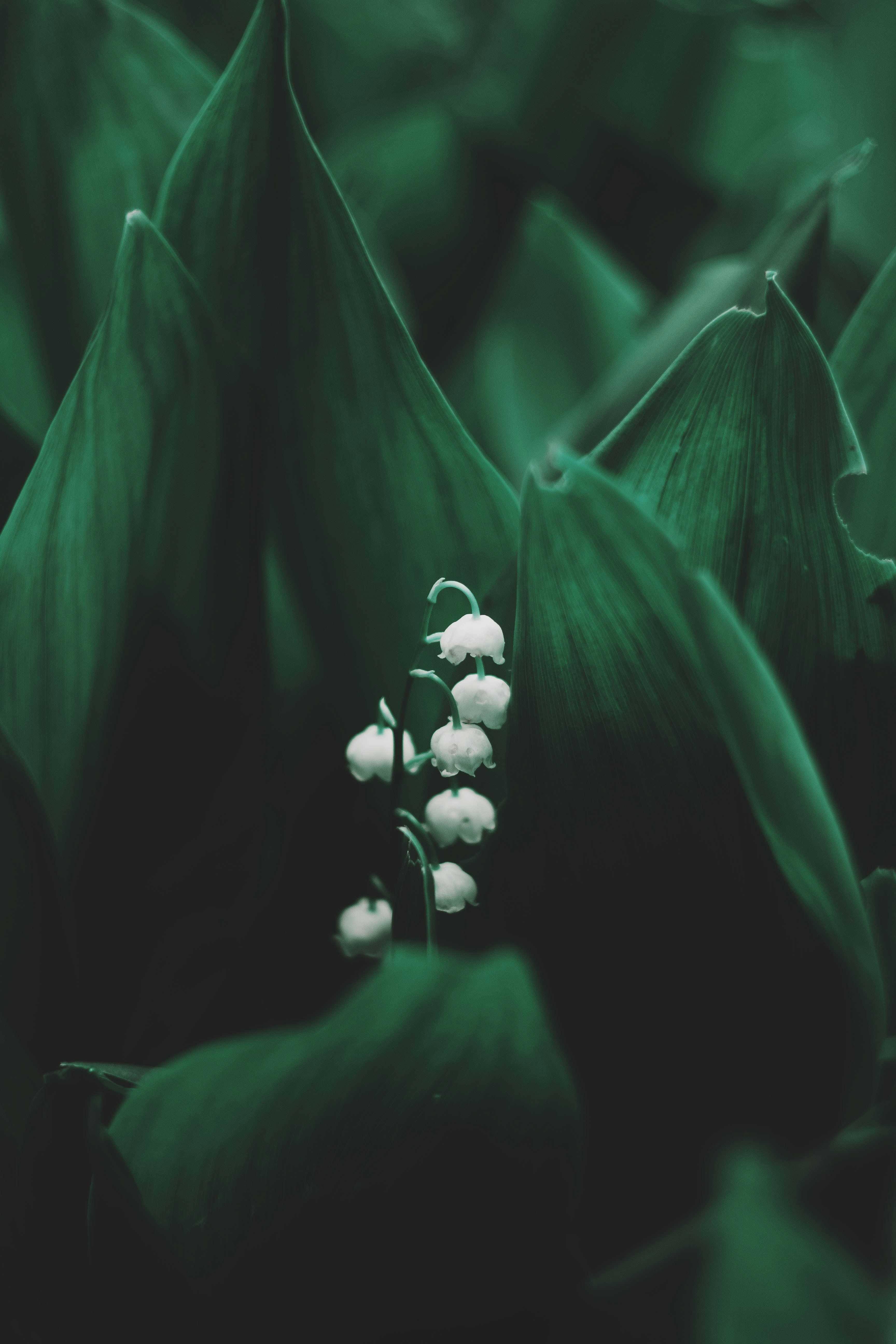 Photo by shapovalow
