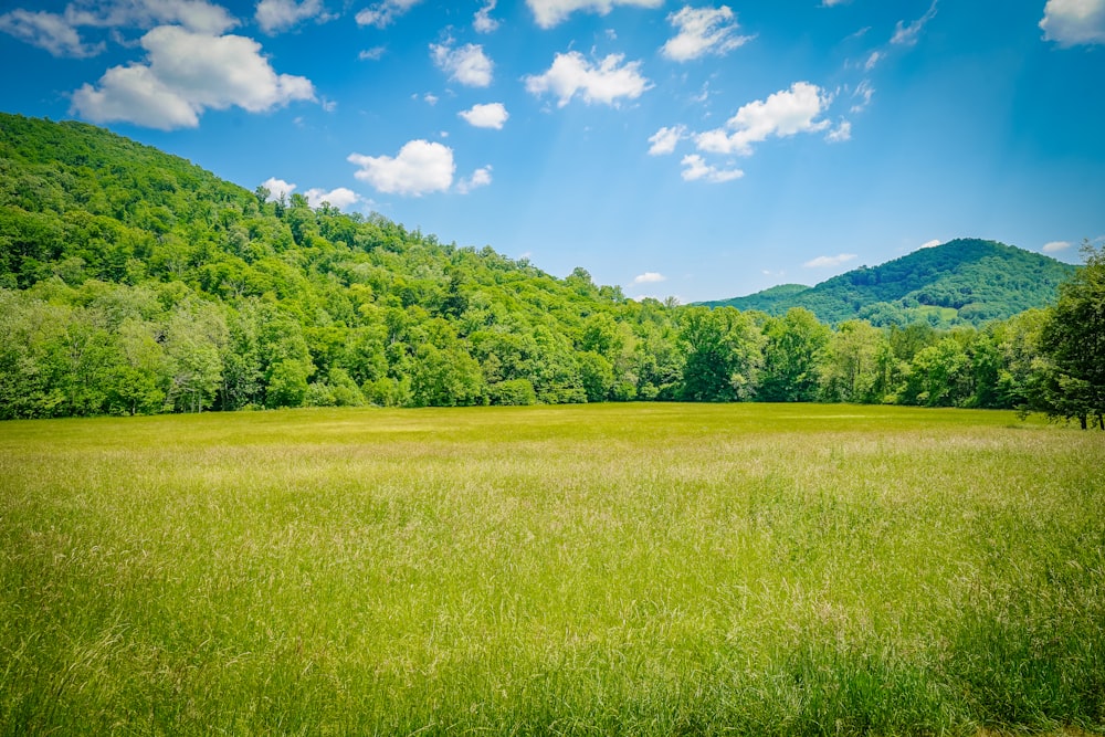 a grassy field with mountains in the background