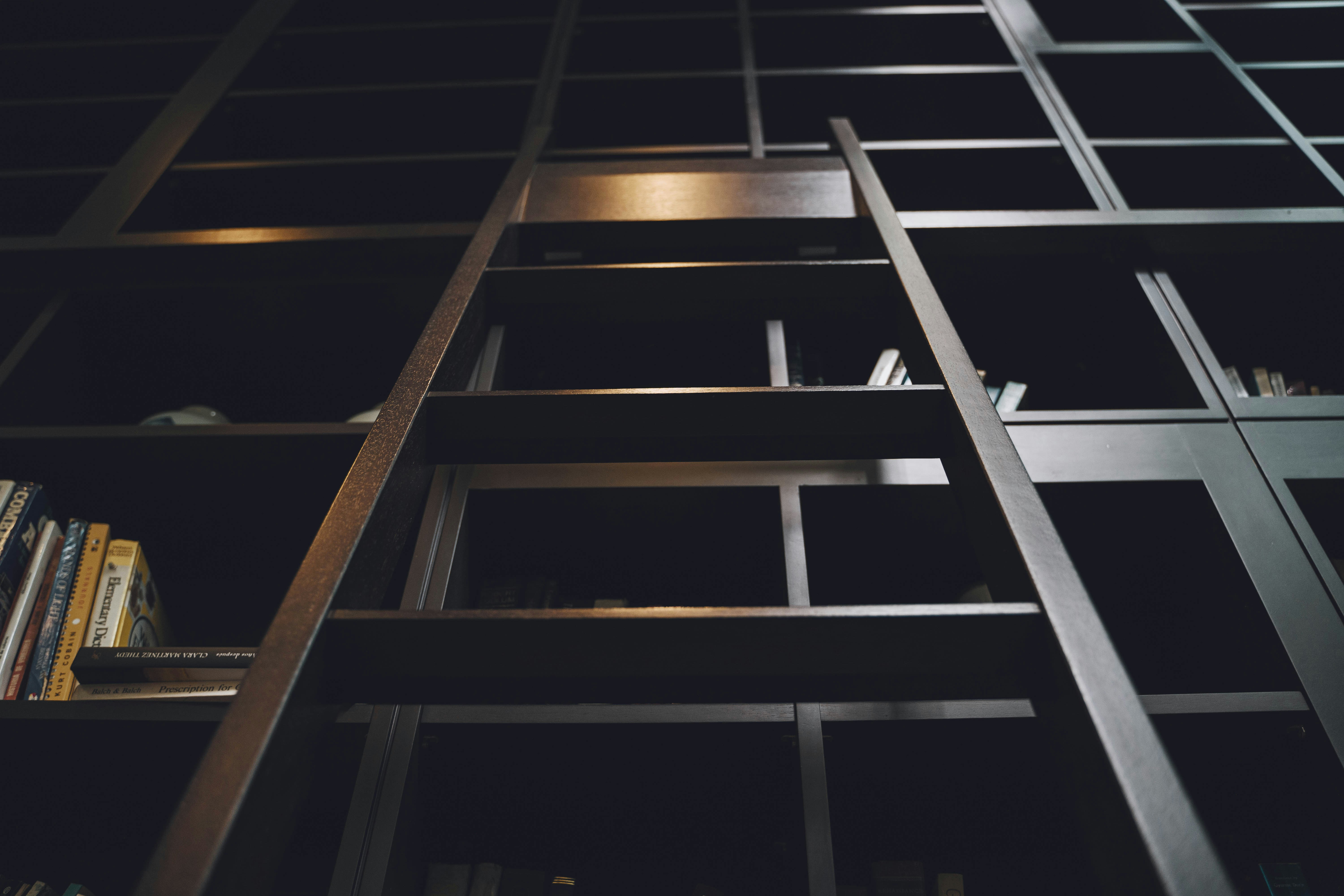 Photo by ruddycorporanx